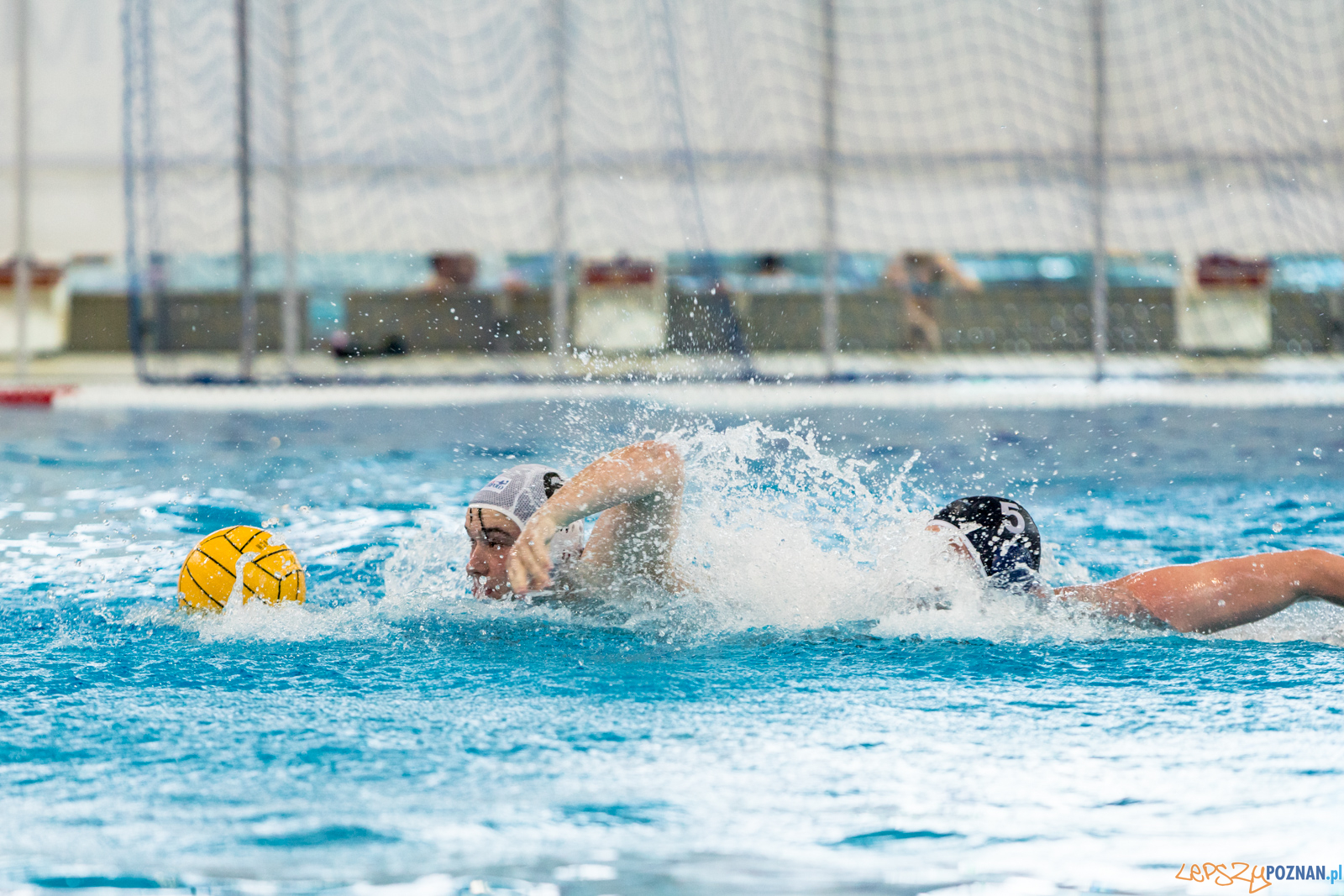 KS Waterpolo Poznań – OCMER ŁSTW Łódź Foto: lepszyPOZNAN.pl/Piotr Rychter KS Waterpolo Poznań – OCMER ŁSTW Łódź Foto: lepszyPOZNAN.pl/Piotr Rychter