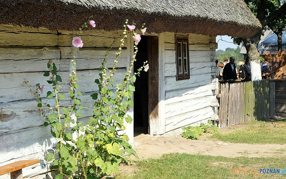 Park w Dziekanowicach - chata chłopska  Foto: lednica.pl / materiały prasowe