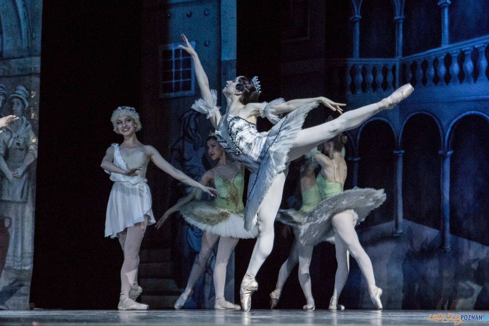 Don Kichot Foto: lepszyPOZNAN.pl / Ewelina Jaśkowiak Don Kichot Foto: lepszyPOZNAN.pl / Ewelina Jaśkowiak