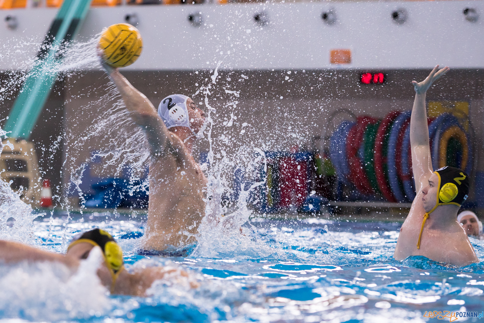 KS Waterpolo Poznań – ŁUKOSZ WTS Polonia Bytom Foto: lepszyPOZNAN.pl/Piotr Rychter KS Waterpolo Poznań – ŁUKOSZ WTS Polonia Bytom Foto: lepszyPOZNAN.pl/Piotr Rychter