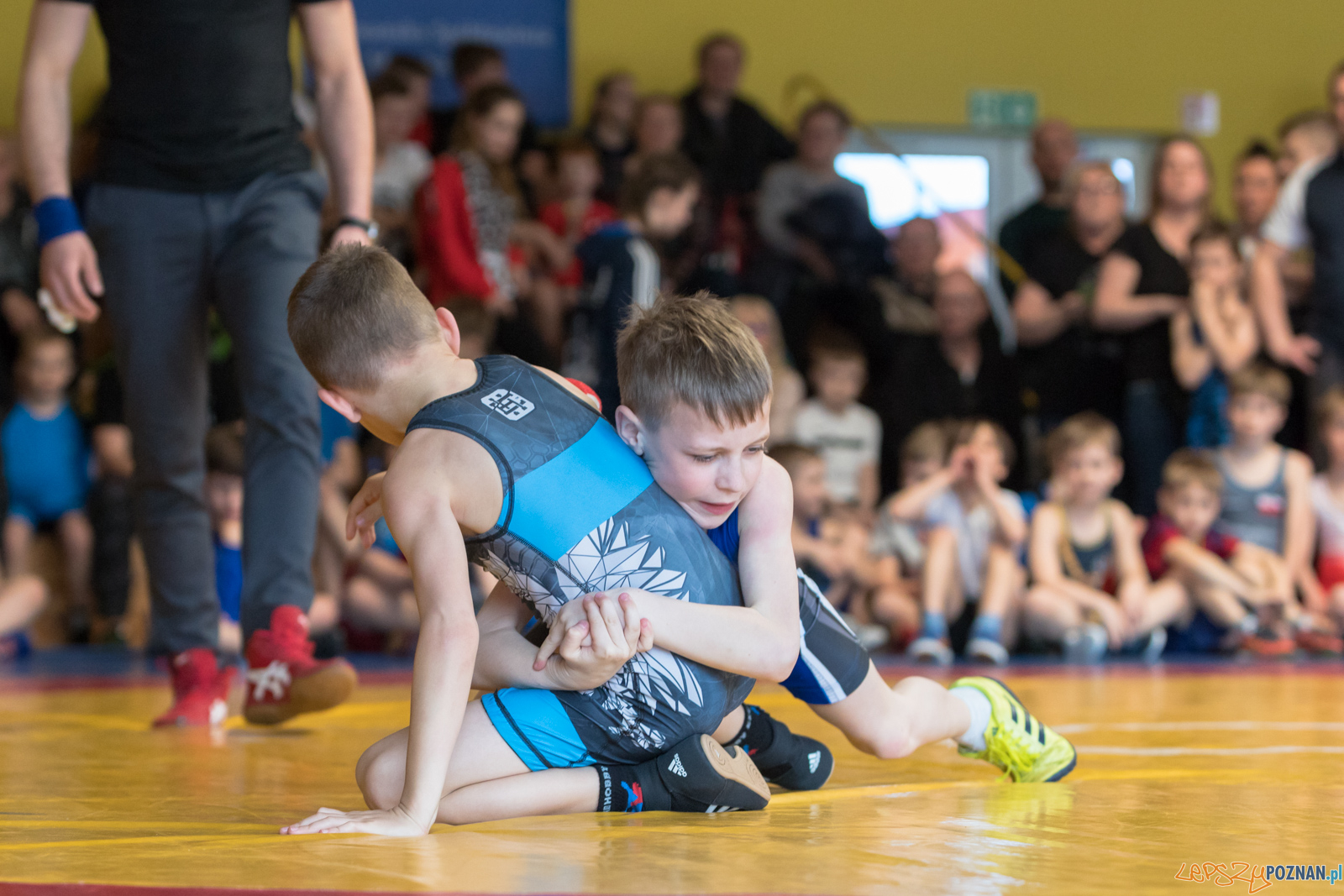 Tuniej Wielkanocny - Zapasy Styl Klasyczny/Zapasy Kobiet Foto: lepszyPOZNAN.pl/Piotr Rychter Tuniej Wielkanocny - Zapasy Styl Klasyczny/Zapasy Kobiet Foto: lepszyPOZNAN.pl/Piotr Rychter