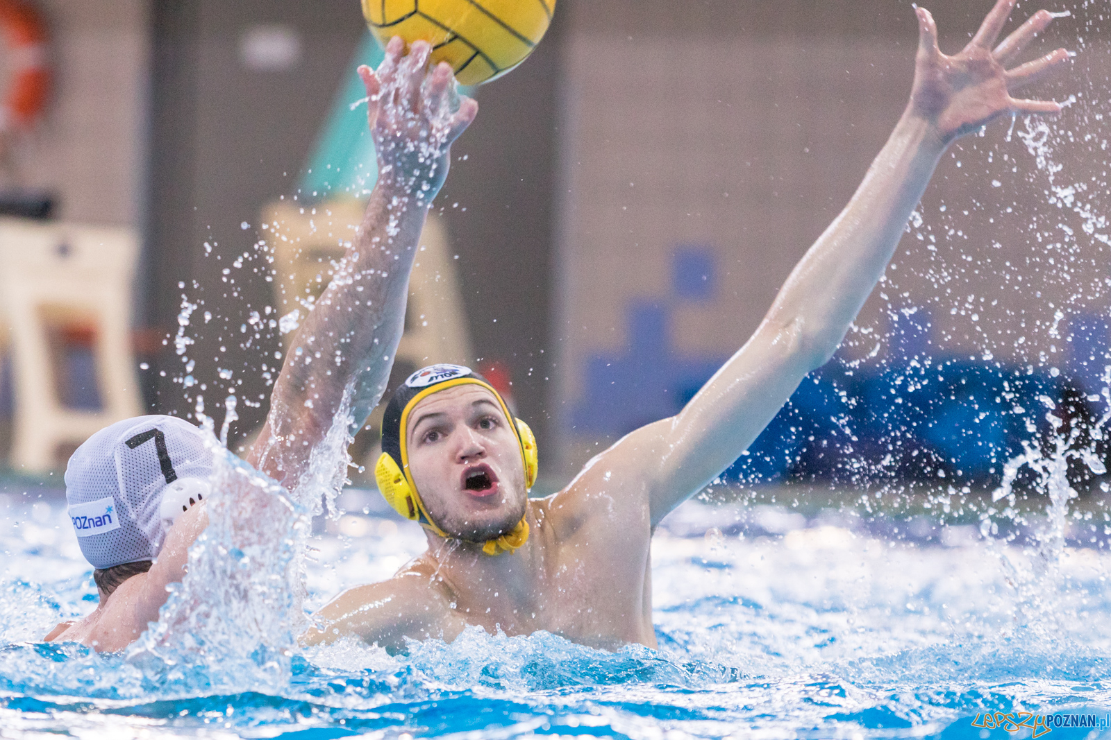 KS Waterpolo Poznań – ŁUKOSZ WTS Polonia Bytom Foto: lepszyPOZNAN.pl/Piotr Rychter KS Waterpolo Poznań – ŁUKOSZ WTS Polonia Bytom Foto: lepszyPOZNAN.pl/Piotr Rychter