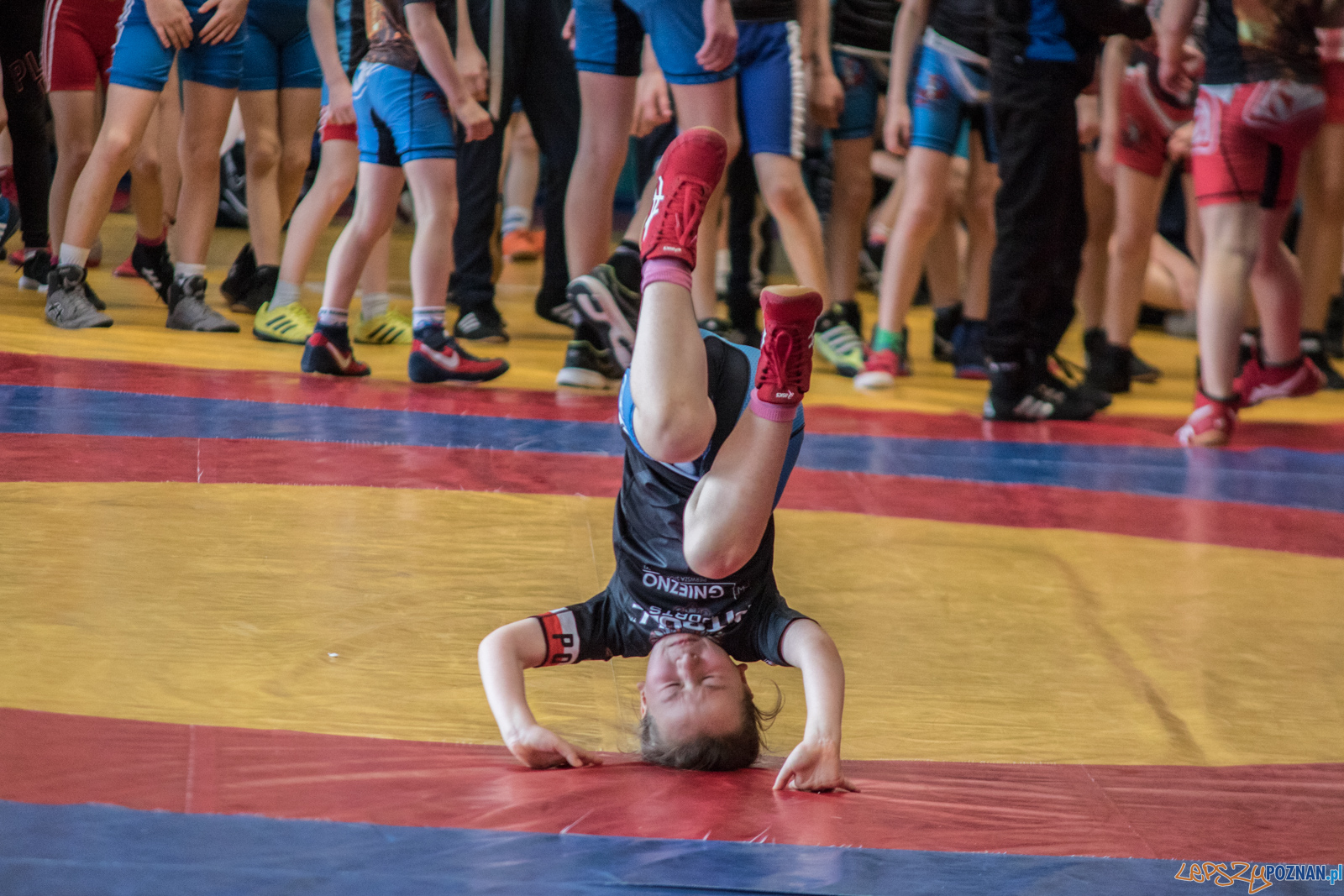 Turniej Wielkanocny KS Sobieski Foto: lepszyPOZNAN.pl / Ewelina Jaśkowiak Turniej Wielkanocny KS Sobieski Foto: lepszyPOZNAN.pl / Ewelina Jaśkowiak