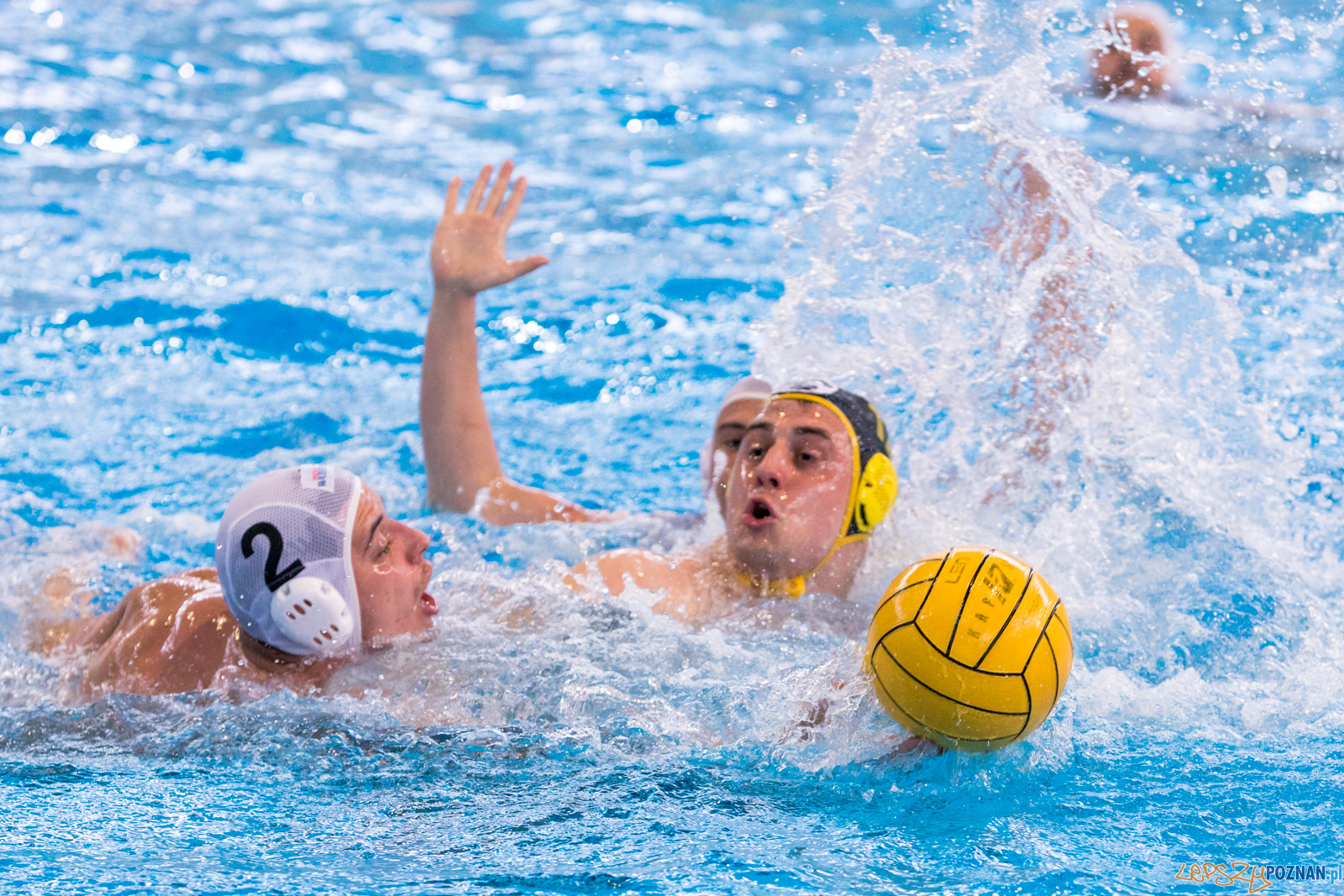 KS Waterpolo Poznań – ŁUKOSZ WTS Polonia Bytom Foto: lepszyPOZNAN.pl/Piotr Rychter KS Waterpolo Poznań – ŁUKOSZ WTS Polonia Bytom Foto: lepszyPOZNAN.pl/Piotr Rychter