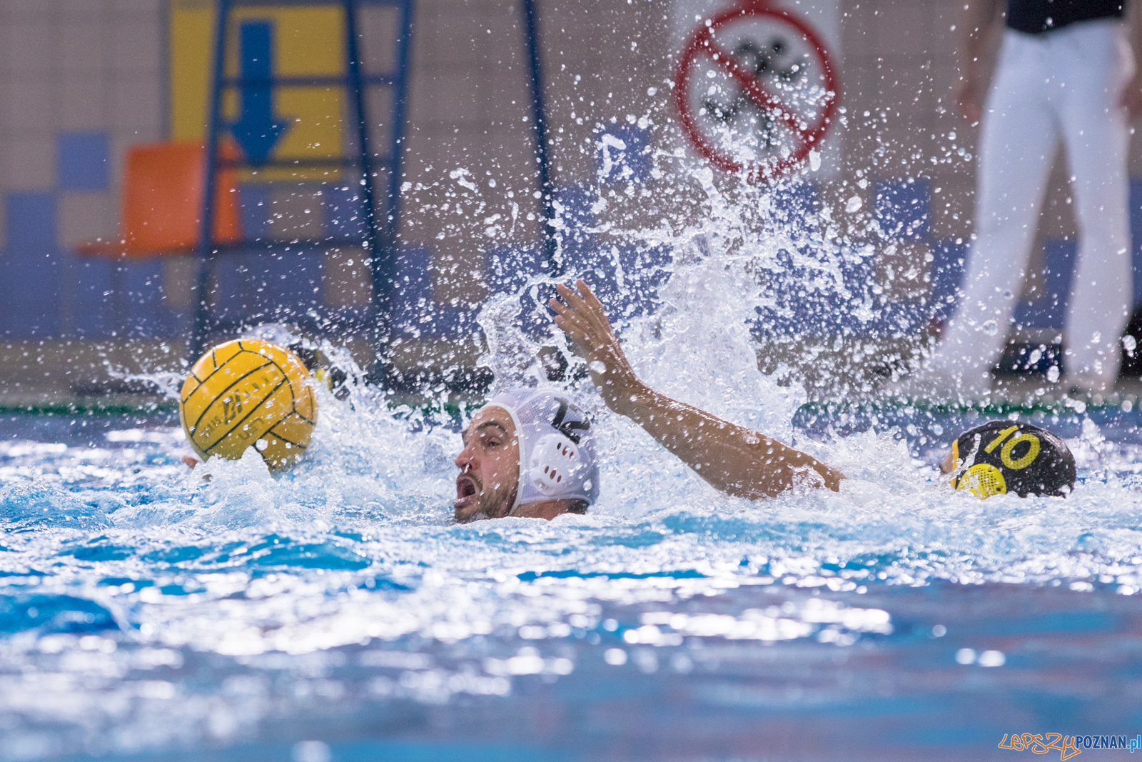 KS Waterpolo Poznań – ŁUKOSZ WTS Polonia Bytom Foto: lepszyPOZNAN.pl/Piotr Rychter KS Waterpolo Poznań – ŁUKOSZ WTS Polonia Bytom Foto: lepszyPOZNAN.pl/Piotr Rychter