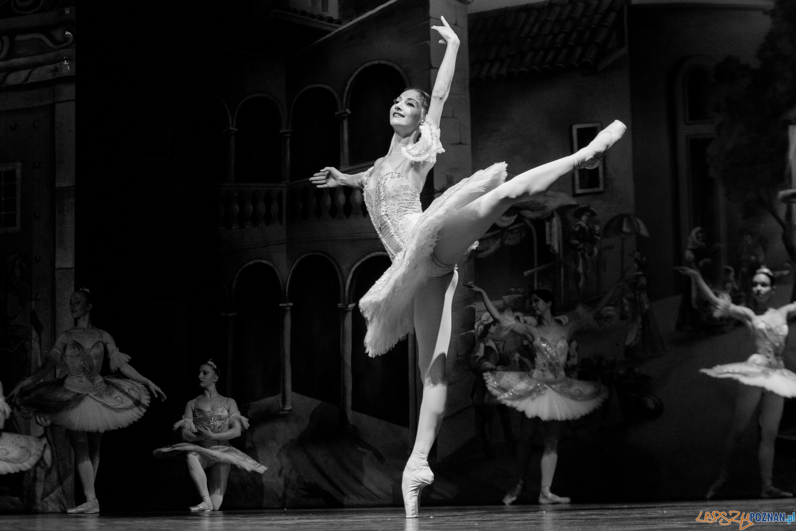 Don Kichot Foto: lepszyPOZNAN.pl / Ewelina Jaśkowiak Don Kichot Foto: lepszyPOZNAN.pl / Ewelina Jaśkowiak