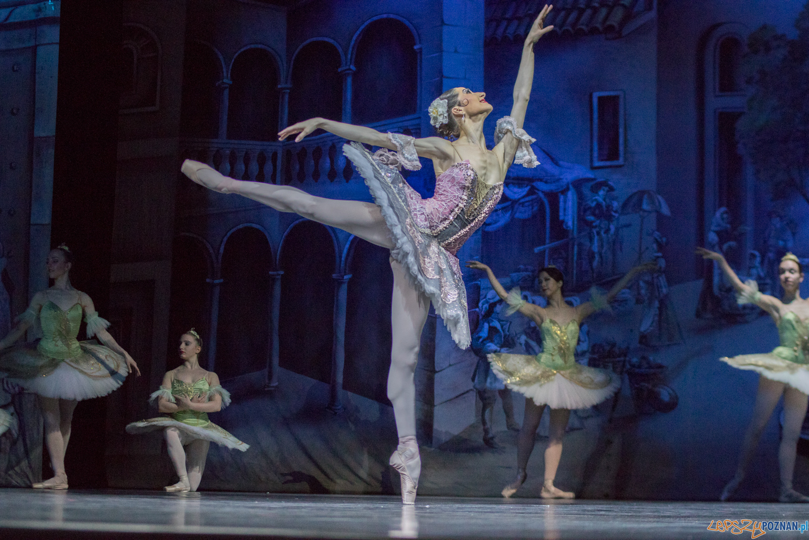 Don Kichot Foto: lepszyPOZNAN.pl / Ewelina Jaśkowiak Don Kichot Foto: lepszyPOZNAN.pl / Ewelina Jaśkowiak