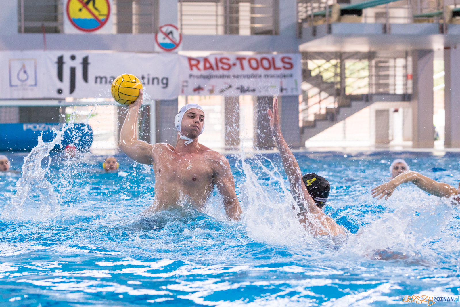 KS Waterpolo Poznań – ŁUKOSZ WTS Polonia Bytom Foto: lepszyPOZNAN.pl/Piotr Rychter KS Waterpolo Poznań – ŁUKOSZ WTS Polonia Bytom Foto: lepszyPOZNAN.pl/Piotr Rychter