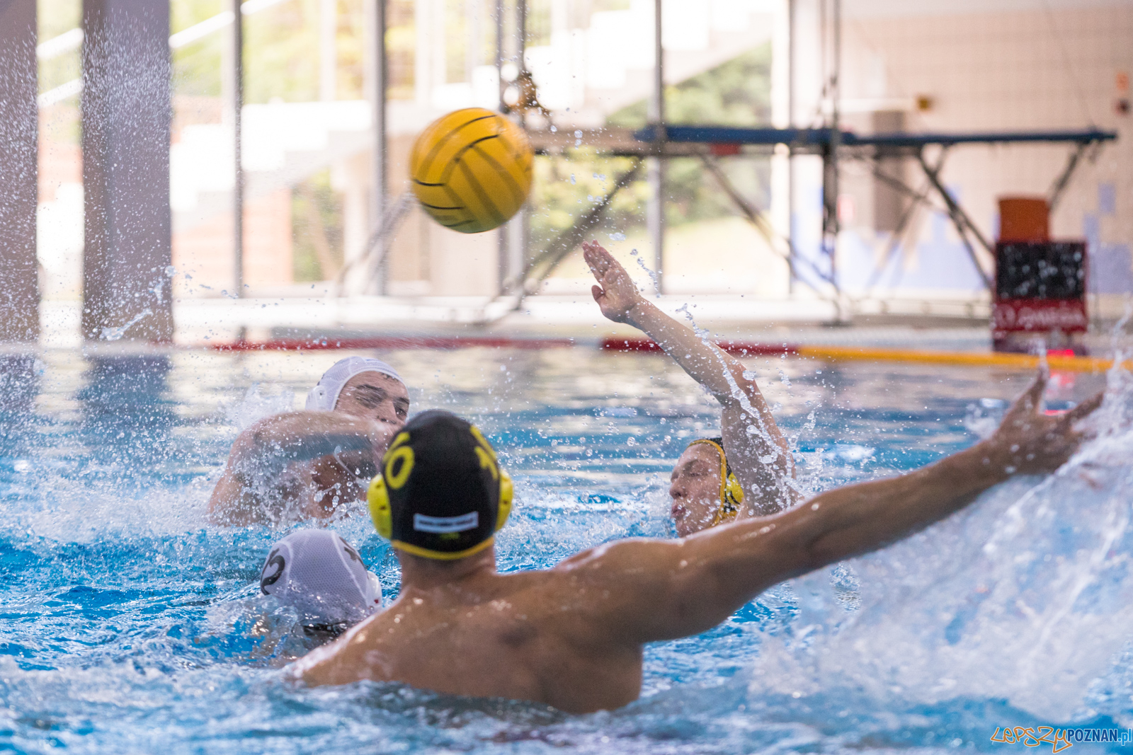 KS Waterpolo Poznań – ŁUKOSZ WTS Polonia Bytom Foto: lepszyPOZNAN.pl/Piotr Rychter KS Waterpolo Poznań – ŁUKOSZ WTS Polonia Bytom Foto: lepszyPOZNAN.pl/Piotr Rychter