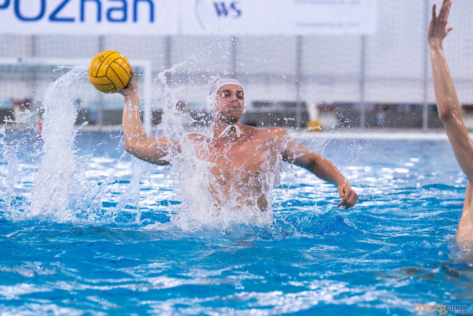 KS Waterpolo Poznań – ŁUKOSZ WTS Polonia Bytom Foto: lepszyPOZNAN.pl/Piotr Rychter KS Waterpolo Poznań – ŁUKOSZ WTS Polonia Bytom Foto: lepszyPOZNAN.pl/Piotr Rychter