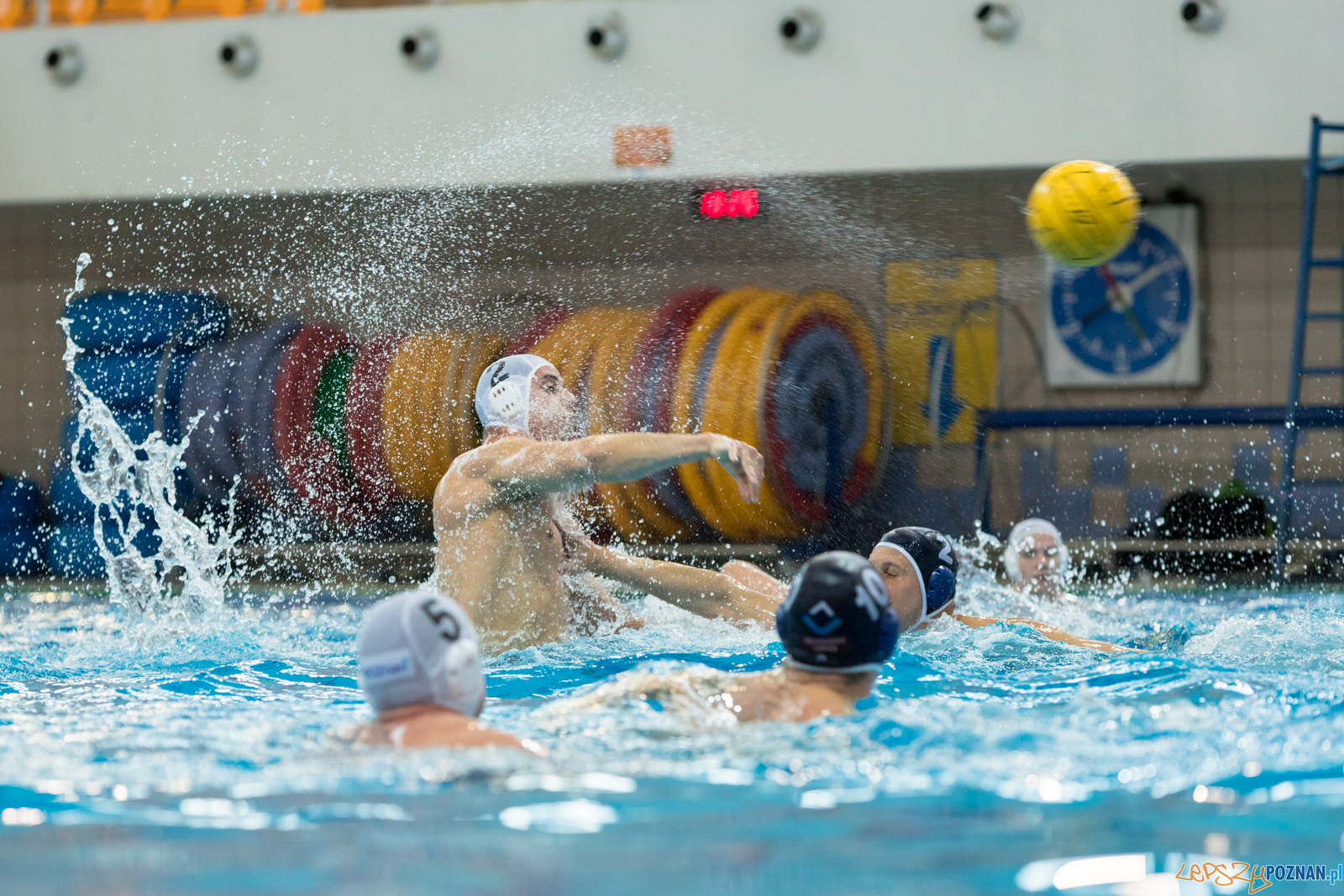 KS Waterpolo Poznań – OCMER ŁSTW Łódź Foto: lepszyPOZNAN.pl/Piotr Rychter KS Waterpolo Poznań – OCMER ŁSTW Łódź Foto: lepszyPOZNAN.pl/Piotr Rychter