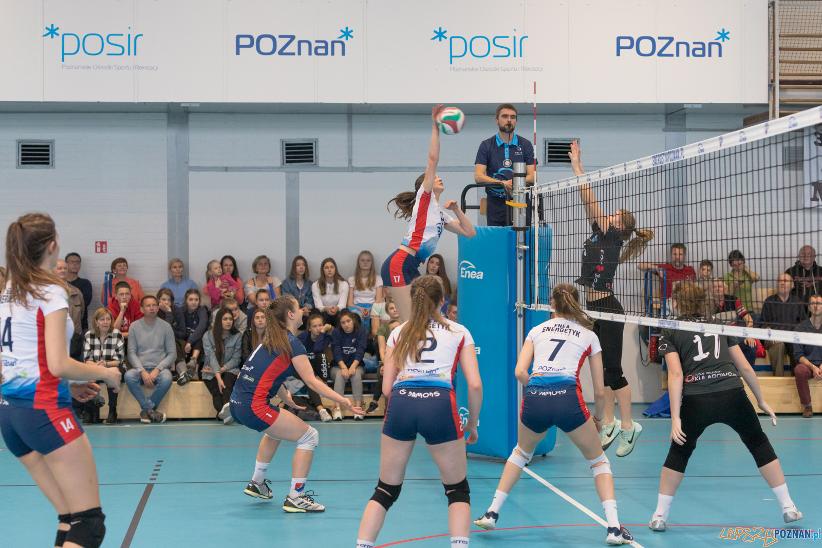 Półfinał Mistrzostw Polski w Piłce Siatkowej Kadetek Foto: lepszyPOZNAN.pl/Piotr Rychter Półfinał Mistrzostw Polski w Piłce Siatkowej Kadetek Foto: lepszyPOZNAN.pl/Piotr Rychter