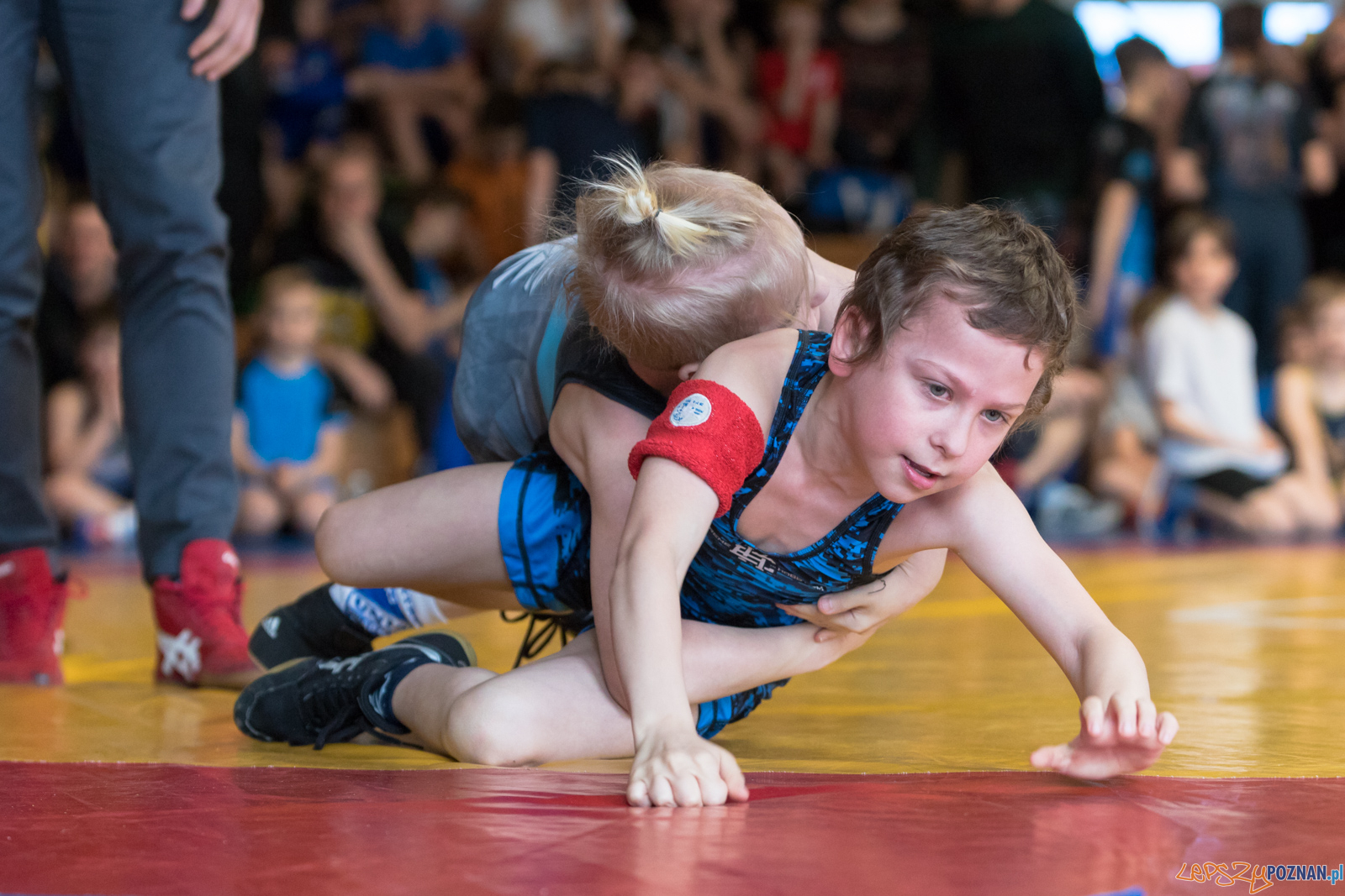 Tuniej Wielkanocny - Zapasy Styl Klasyczny/Zapasy Kobiet Foto: lepszyPOZNAN.pl/Piotr Rychter Tuniej Wielkanocny - Zapasy Styl Klasyczny/Zapasy Kobiet Foto: lepszyPOZNAN.pl/Piotr Rychter