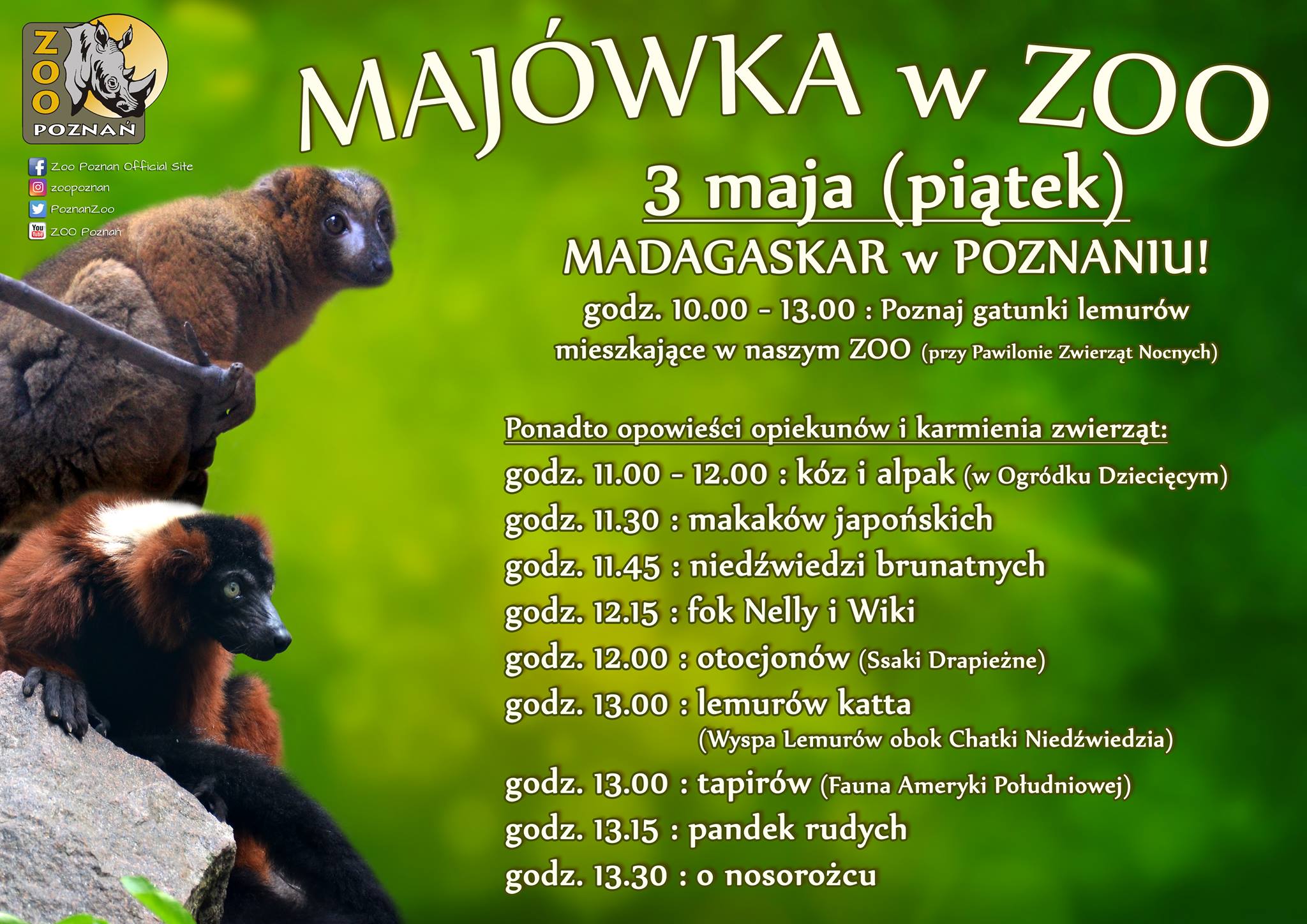 Majówka w Zoo Foto: materiały prasowe Majówka w Zoo Foto: materiały prasowe