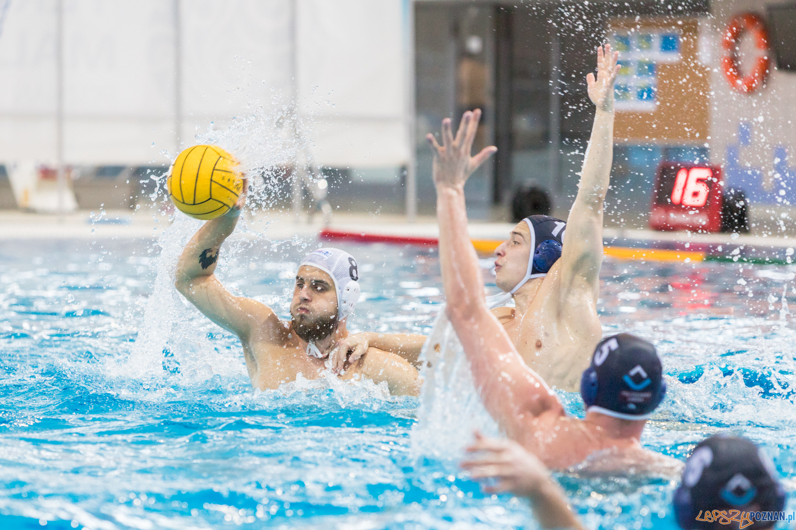 KS Waterpolo Poznań – OCMER ŁSTW Łódź Foto: lepszyPOZNAN.pl/Piotr Rychter KS Waterpolo Poznań – OCMER ŁSTW Łódź Foto: lepszyPOZNAN.pl/Piotr Rychter