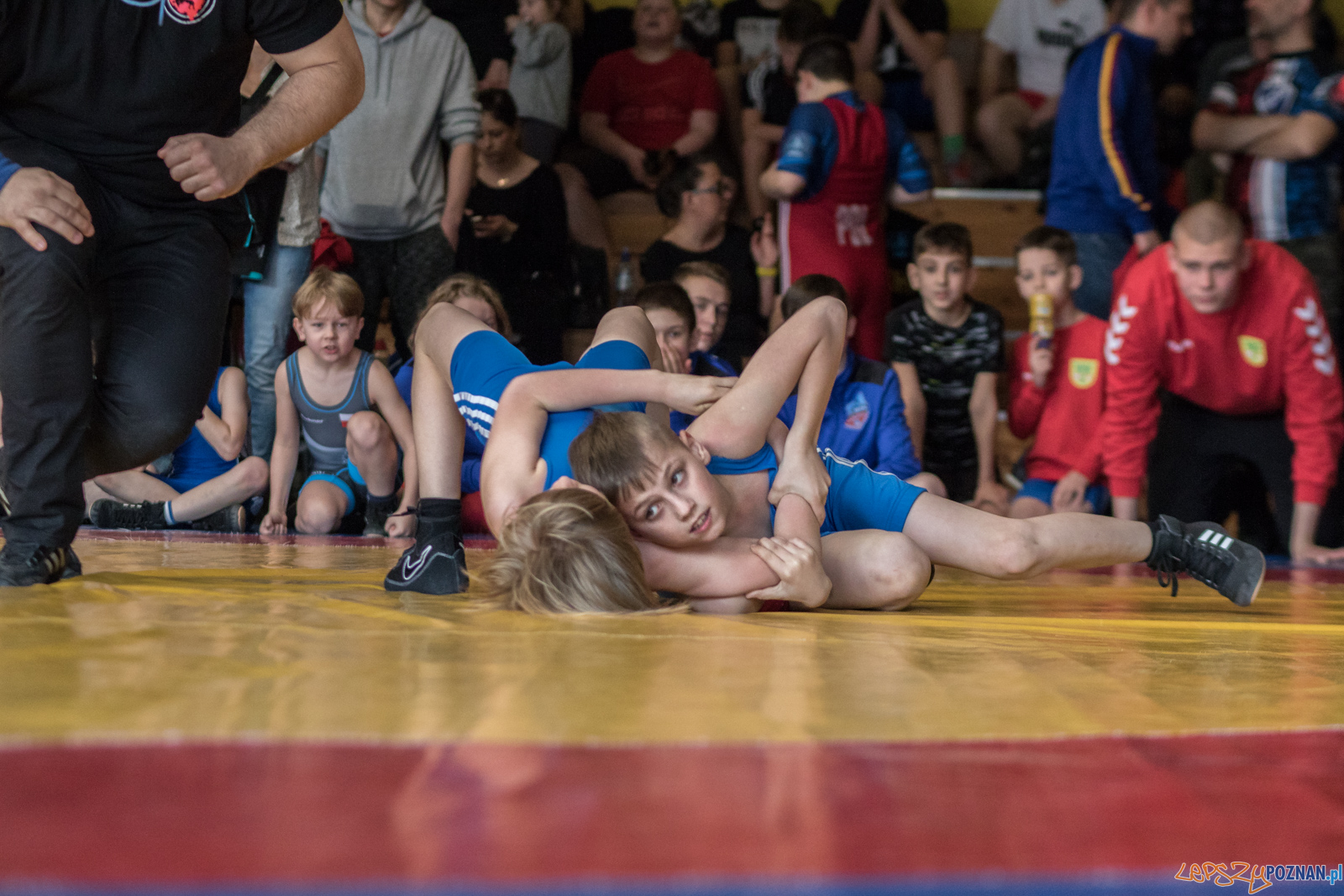 Turniej Wielkanocny KS Sobieski Foto: lepszyPOZNAN.pl / Ewelina Jaśkowiak Turniej Wielkanocny KS Sobieski Foto: lepszyPOZNAN.pl / Ewelina Jaśkowiak