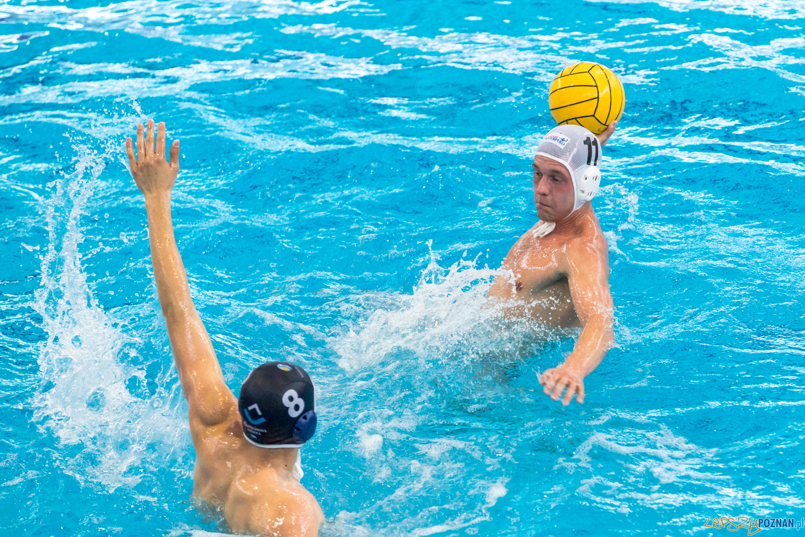 KS Waterpolo Poznań – OCMER ŁSTW Łódź Foto: lepszyPOZNAN.pl/Piotr Rychter KS Waterpolo Poznań – OCMER ŁSTW Łódź Foto: lepszyPOZNAN.pl/Piotr Rychter