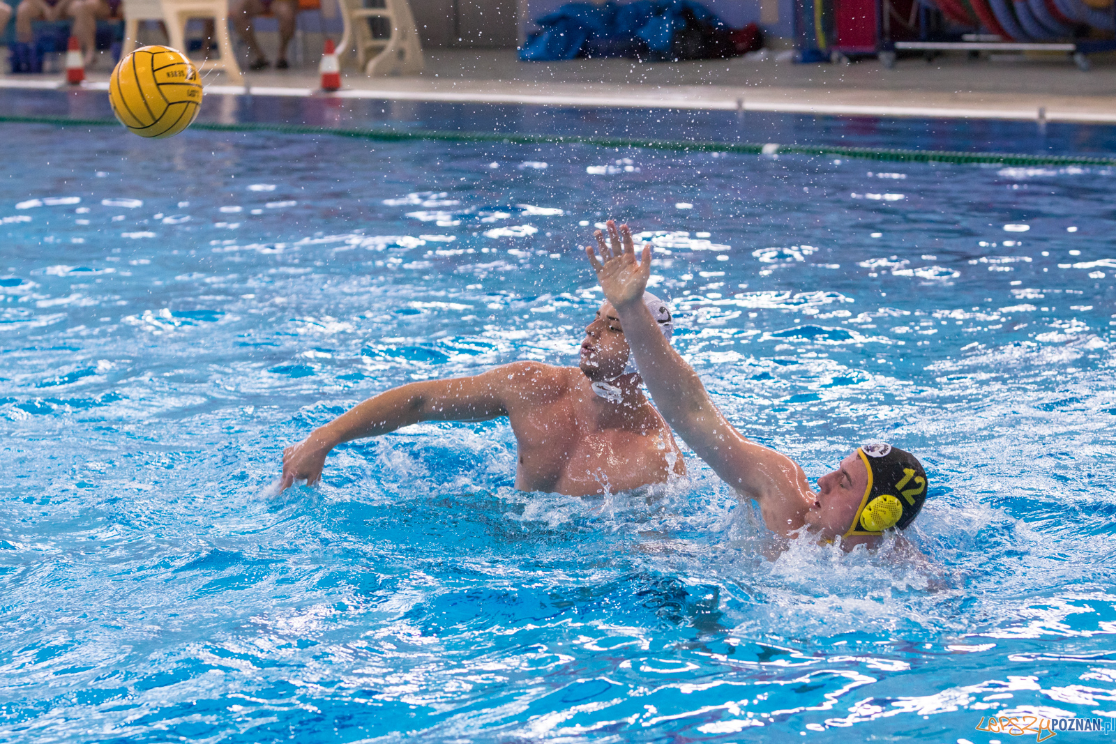 KS Waterpolo Poznań – ŁUKOSZ WTS Polonia Bytom Foto: lepszyPOZNAN.pl/Piotr Rychter KS Waterpolo Poznań – ŁUKOSZ WTS Polonia Bytom Foto: lepszyPOZNAN.pl/Piotr Rychter