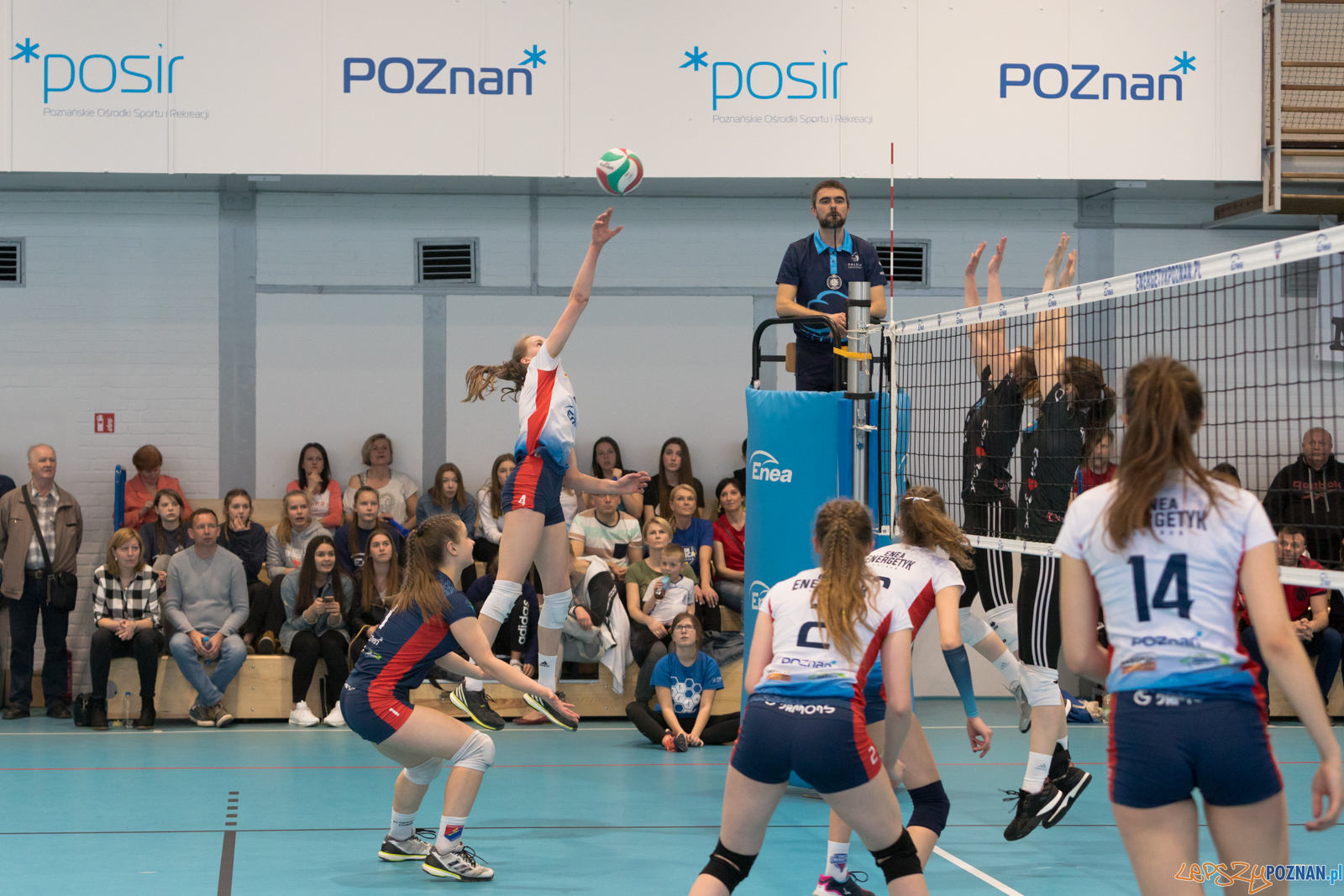 Półfinał Mistrzostw Polski w Piłce Siatkowej Kadetek Foto: lepszyPOZNAN.pl/Piotr Rychter Półfinał Mistrzostw Polski w Piłce Siatkowej Kadetek Foto: lepszyPOZNAN.pl/Piotr Rychter