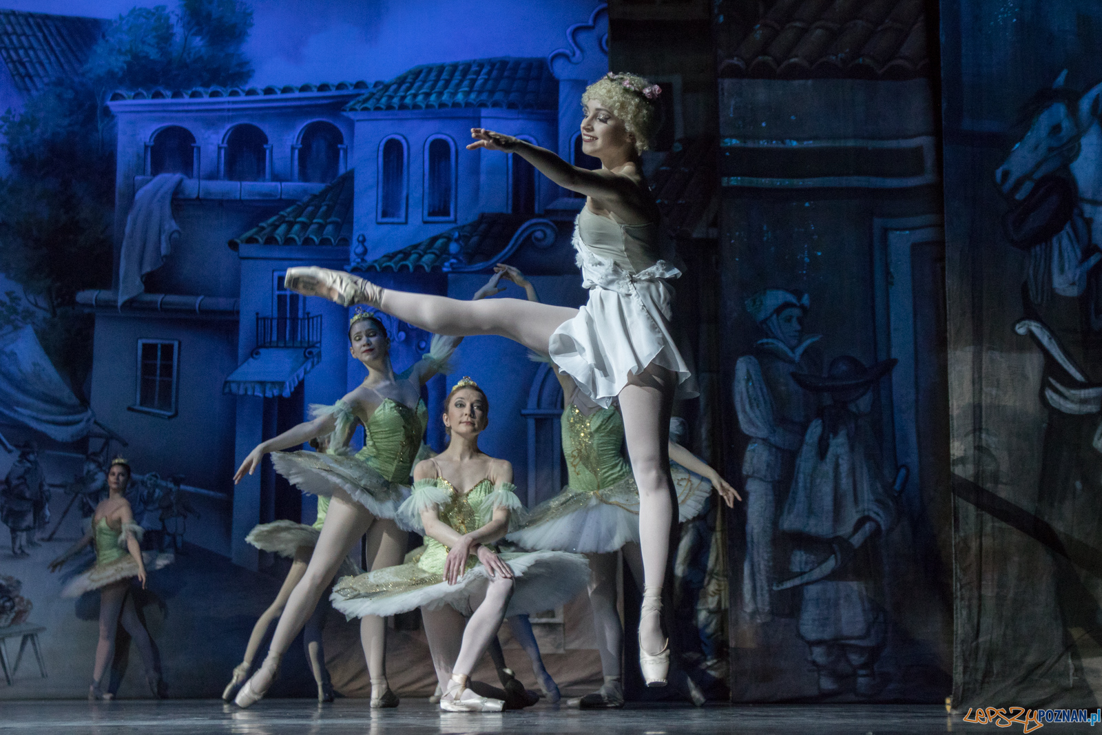 Don Kichot Foto: lepszyPOZNAN.pl / Ewelina Jaśkowiak Don Kichot Foto: lepszyPOZNAN.pl / Ewelina Jaśkowiak