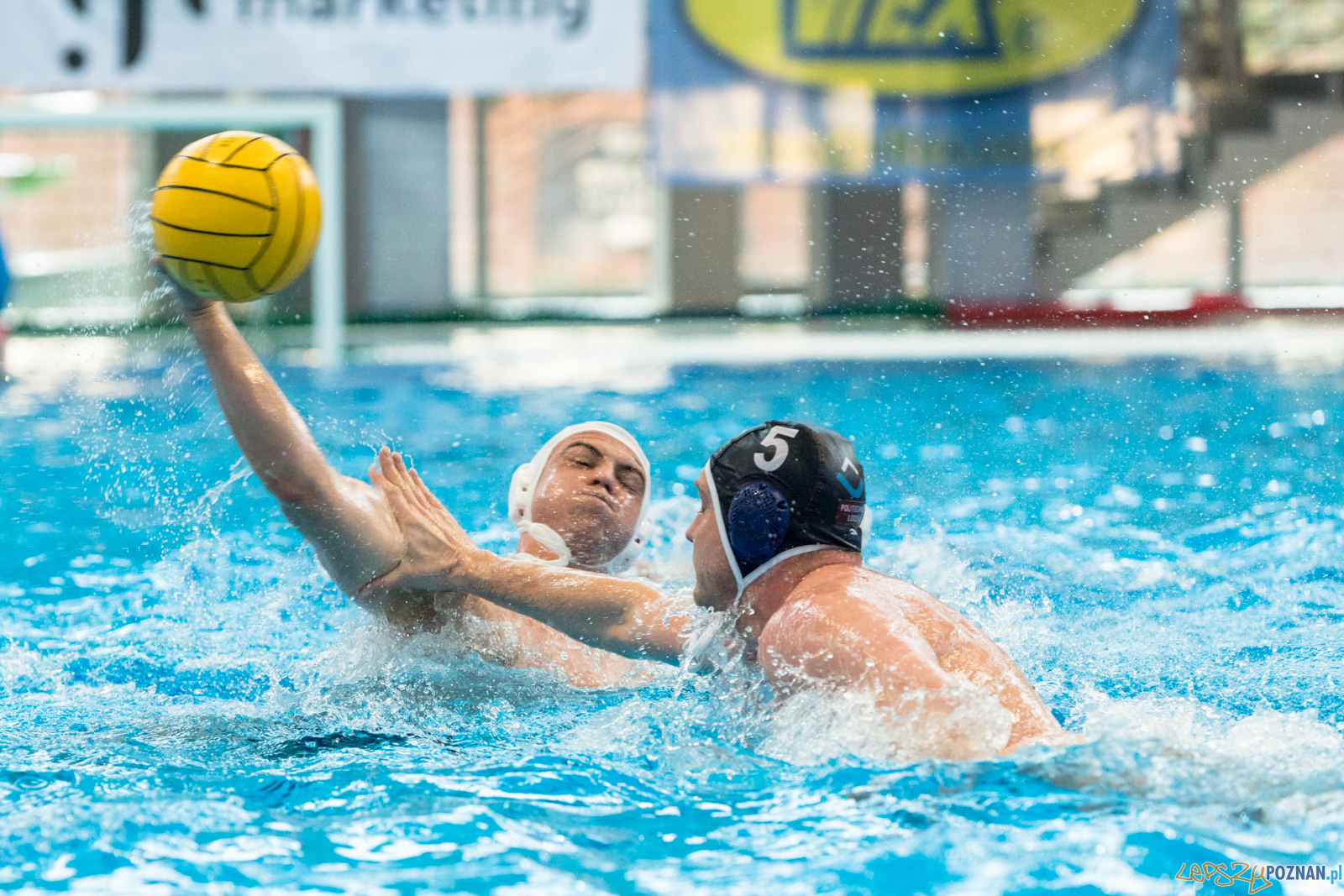 KS Waterpolo Poznań – OCMER ŁSTW Łódź Foto: lepszyPOZNAN.pl/Piotr Rychter KS Waterpolo Poznań – OCMER ŁSTW Łódź Foto: lepszyPOZNAN.pl/Piotr Rychter
