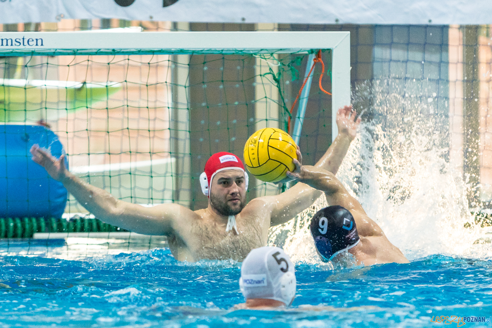 KS Waterpolo Poznań – OCMER ŁSTW Łódź Foto: lepszyPOZNAN.pl/Piotr Rychter KS Waterpolo Poznań – OCMER ŁSTW Łódź Foto: lepszyPOZNAN.pl/Piotr Rychter