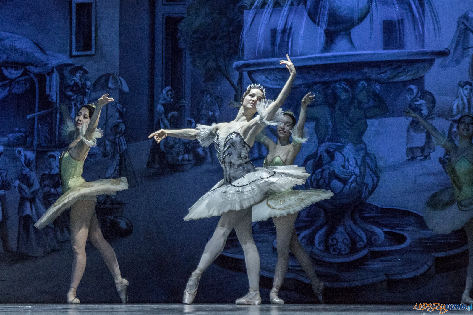 Don Kichot Foto: lepszyPOZNAN.pl / Ewelina Jaśkowiak Don Kichot Foto: lepszyPOZNAN.pl / Ewelina Jaśkowiak