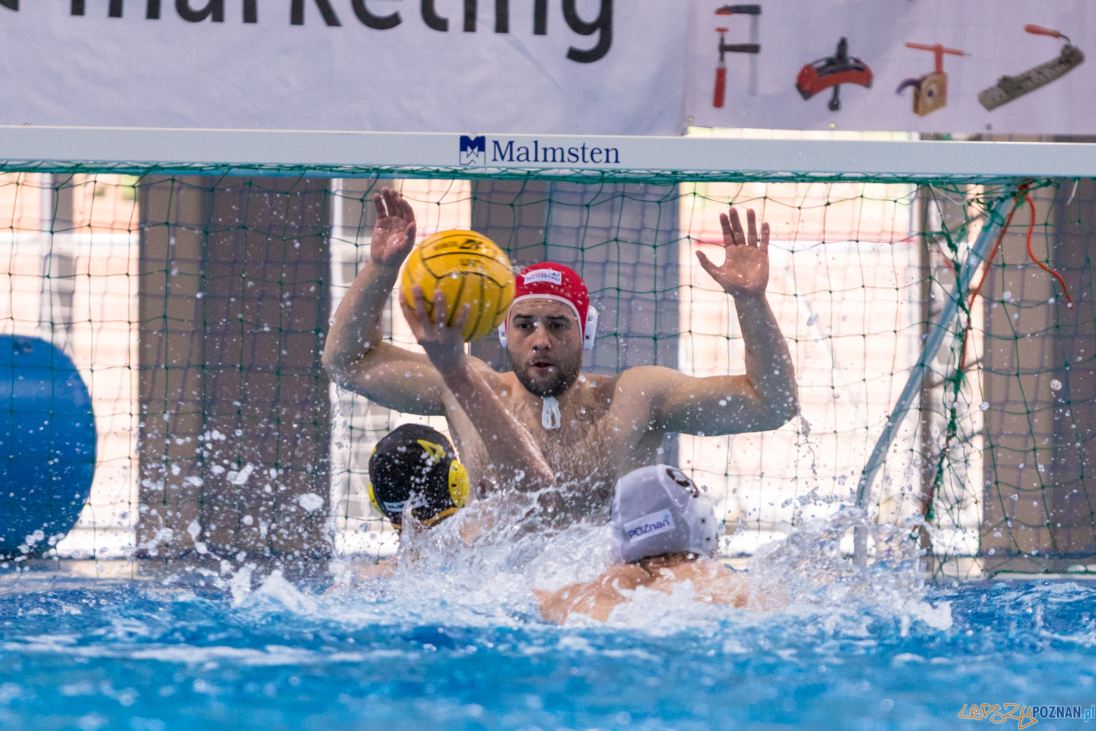KS Waterpolo Poznań – ŁUKOSZ WTS Polonia Bytom Foto: lepszyPOZNAN.pl/Piotr Rychter KS Waterpolo Poznań – ŁUKOSZ WTS Polonia Bytom Foto: lepszyPOZNAN.pl/Piotr Rychter