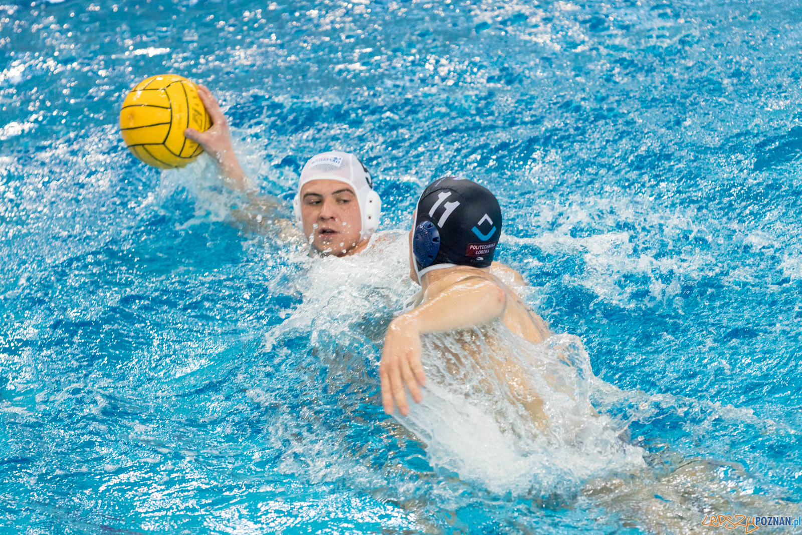 KS Waterpolo Poznań – OCMER ŁSTW Łódź Foto: lepszyPOZNAN.pl/Piotr Rychter KS Waterpolo Poznań – OCMER ŁSTW Łódź Foto: lepszyPOZNAN.pl/Piotr Rychter