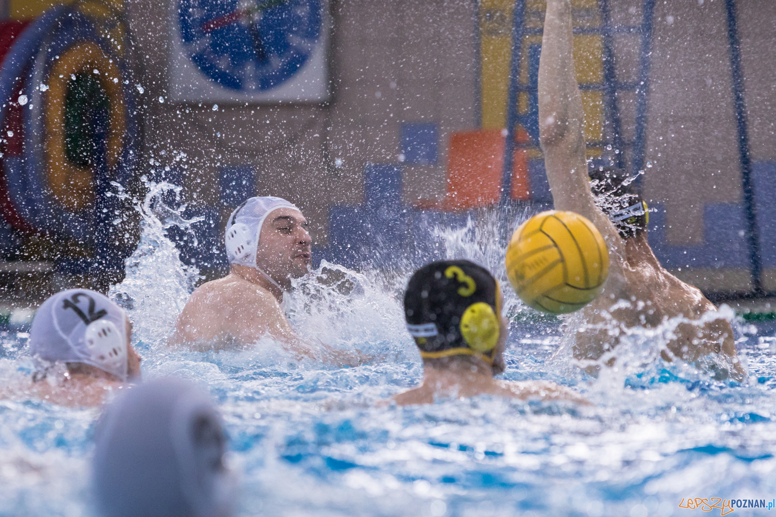 KS Waterpolo Poznań – ŁUKOSZ WTS Polonia Bytom Foto: lepszyPOZNAN.pl/Piotr Rychter KS Waterpolo Poznań – ŁUKOSZ WTS Polonia Bytom Foto: lepszyPOZNAN.pl/Piotr Rychter