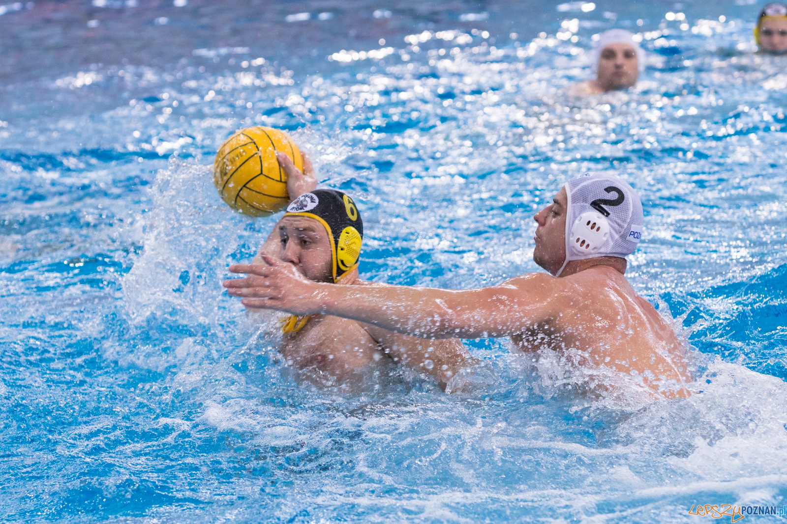 KS Waterpolo Poznań – ŁUKOSZ WTS Polonia Bytom Foto: lepszyPOZNAN.pl/Piotr Rychter KS Waterpolo Poznań – ŁUKOSZ WTS Polonia Bytom Foto: lepszyPOZNAN.pl/Piotr Rychter