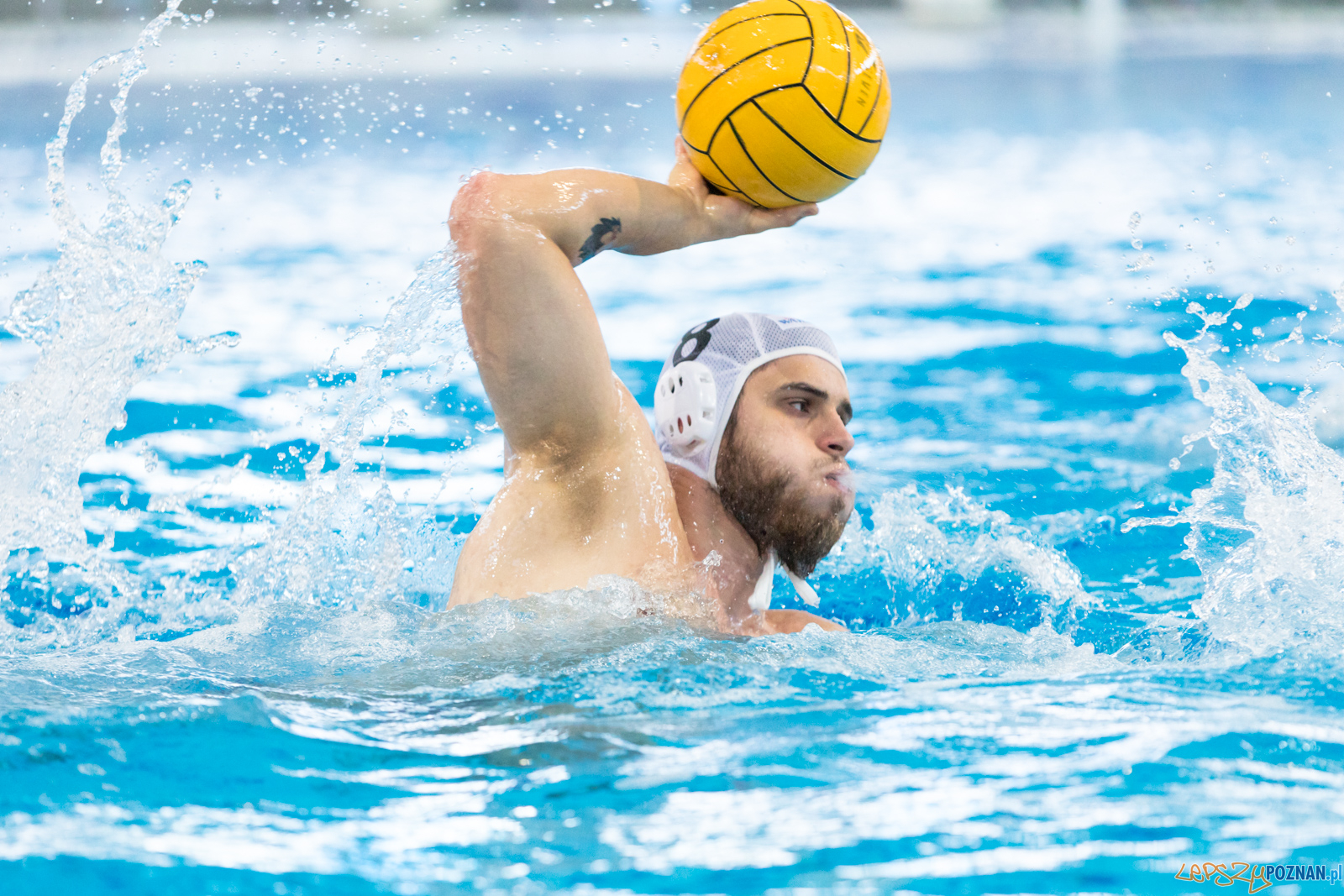 KS Waterpolo Poznań – OCMER ŁSTW Łódź Foto: lepszyPOZNAN.pl/Piotr Rychter KS Waterpolo Poznań – OCMER ŁSTW Łódź Foto: lepszyPOZNAN.pl/Piotr Rychter