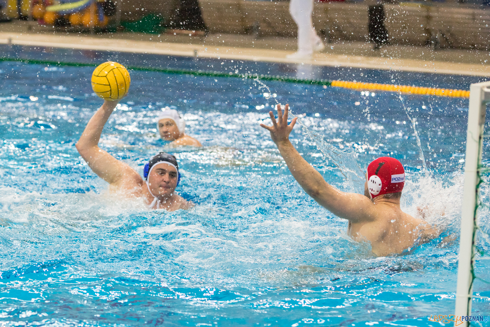 KS Waterpolo Poznań – OCMER ŁSTW Łódź Foto: lepszyPOZNAN.pl/Piotr Rychter KS Waterpolo Poznań – OCMER ŁSTW Łódź Foto: lepszyPOZNAN.pl/Piotr Rychter