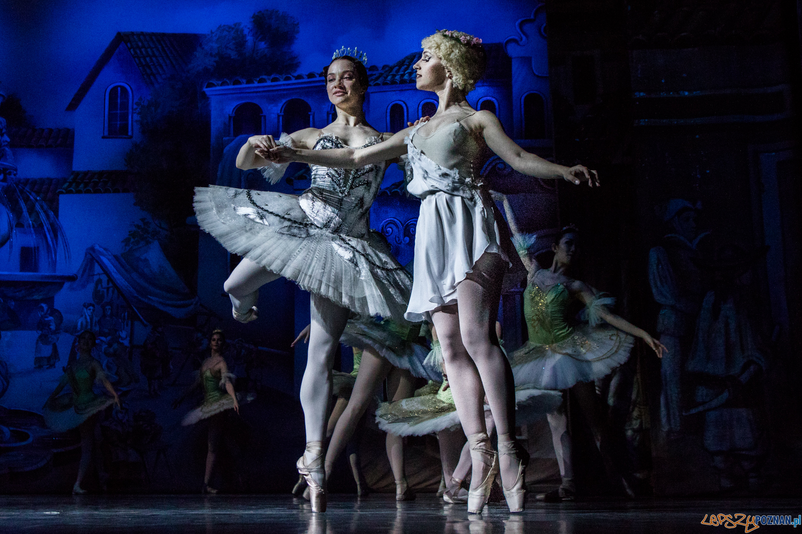 Don Kichot Foto: lepszyPOZNAN.pl / Ewelina Jaśkowiak Don Kichot Foto: lepszyPOZNAN.pl / Ewelina Jaśkowiak