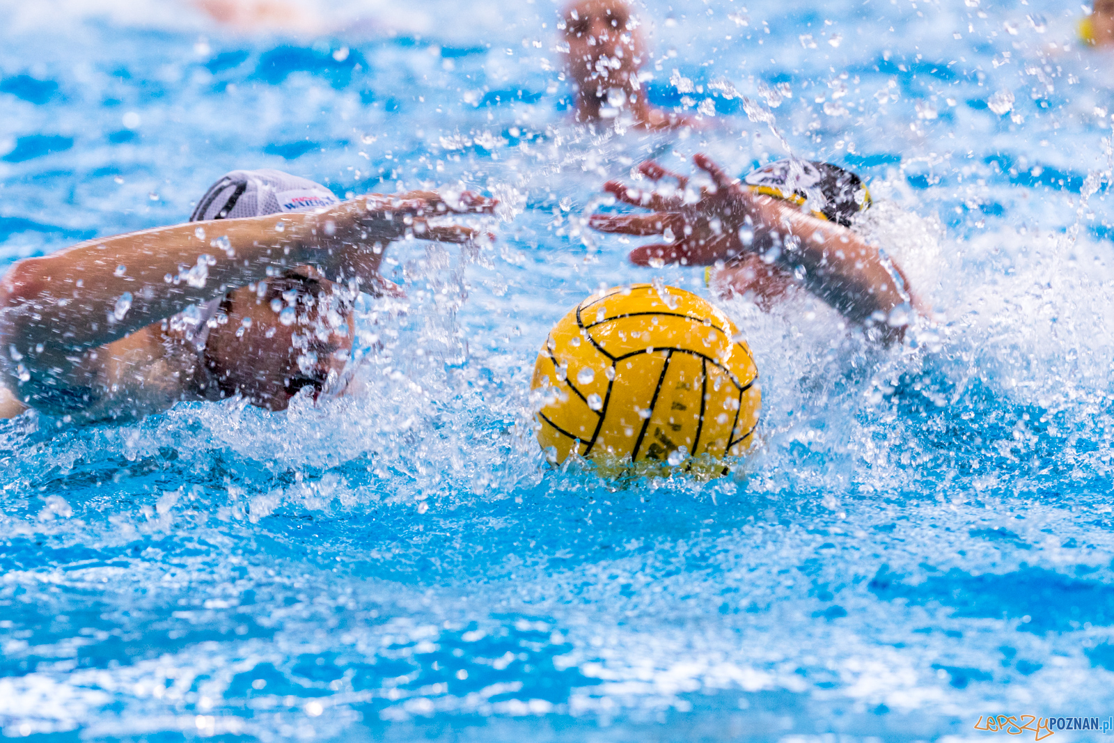 KS Waterpolo Poznań – ŁUKOSZ WTS Polonia Bytom Foto: lepszyPOZNAN.pl/Piotr Rychter KS Waterpolo Poznań – ŁUKOSZ WTS Polonia Bytom Foto: lepszyPOZNAN.pl/Piotr Rychter