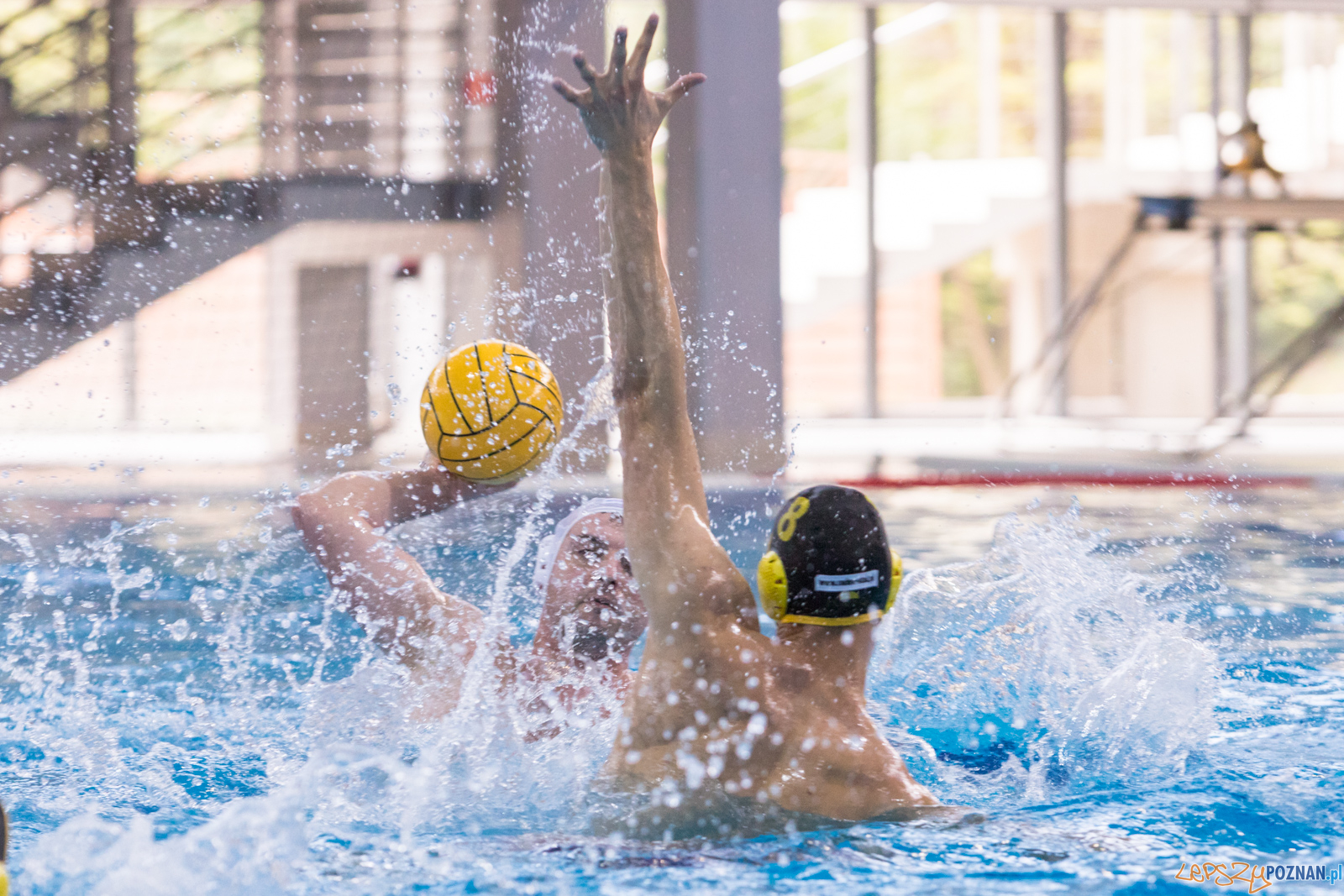 KS Waterpolo Poznań – ŁUKOSZ WTS Polonia Bytom Foto: lepszyPOZNAN.pl/Piotr Rychter KS Waterpolo Poznań – ŁUKOSZ WTS Polonia Bytom Foto: lepszyPOZNAN.pl/Piotr Rychter