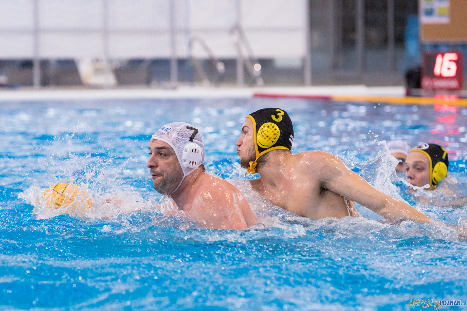 KS Waterpolo Poznań – ŁUKOSZ WTS Polonia Bytom Foto: lepszyPOZNAN.pl/Piotr Rychter KS Waterpolo Poznań – ŁUKOSZ WTS Polonia Bytom Foto: lepszyPOZNAN.pl/Piotr Rychter