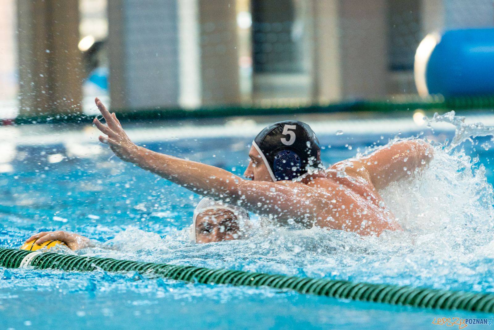 KS Waterpolo Poznań – OCMER ŁSTW Łódź Foto: lepszyPOZNAN.pl/Piotr Rychter KS Waterpolo Poznań – OCMER ŁSTW Łódź Foto: lepszyPOZNAN.pl/Piotr Rychter