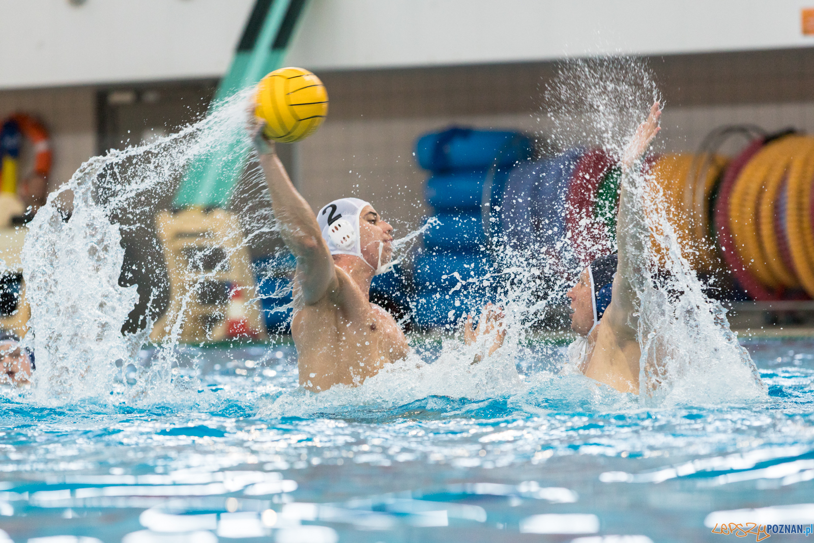 KS Waterpolo Poznań – OCMER ŁSTW Łódź Foto: lepszyPOZNAN.pl/Piotr Rychter KS Waterpolo Poznań – OCMER ŁSTW Łódź Foto: lepszyPOZNAN.pl/Piotr Rychter
