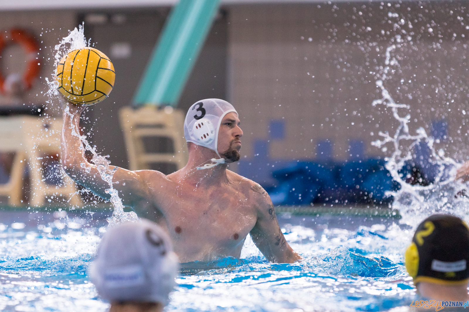 KS Waterpolo Poznań – ŁUKOSZ WTS Polonia Bytom Foto: lepszyPOZNAN.pl/Piotr Rychter KS Waterpolo Poznań – ŁUKOSZ WTS Polonia Bytom Foto: lepszyPOZNAN.pl/Piotr Rychter