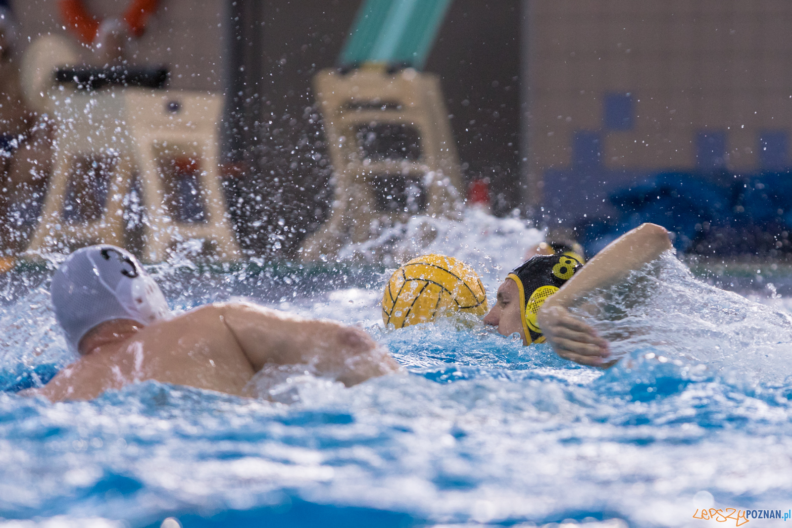 KS Waterpolo Poznań – ŁUKOSZ WTS Polonia Bytom Foto: lepszyPOZNAN.pl/Piotr Rychter KS Waterpolo Poznań – ŁUKOSZ WTS Polonia Bytom Foto: lepszyPOZNAN.pl/Piotr Rychter