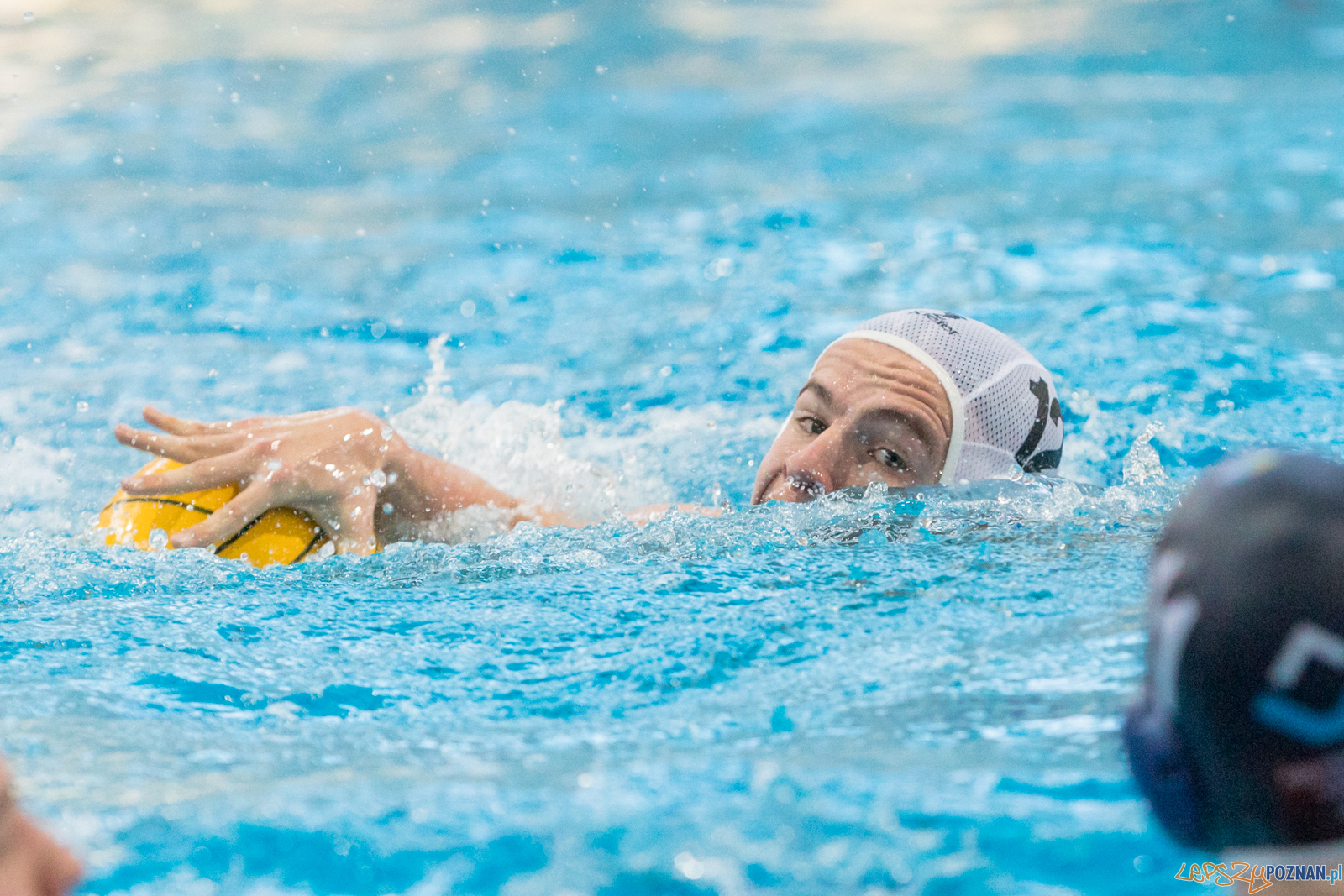 KS Waterpolo Poznań – OCMER ŁSTW Łódź Foto: lepszyPOZNAN.pl/Piotr Rychter KS Waterpolo Poznań – OCMER ŁSTW Łódź Foto: lepszyPOZNAN.pl/Piotr Rychter