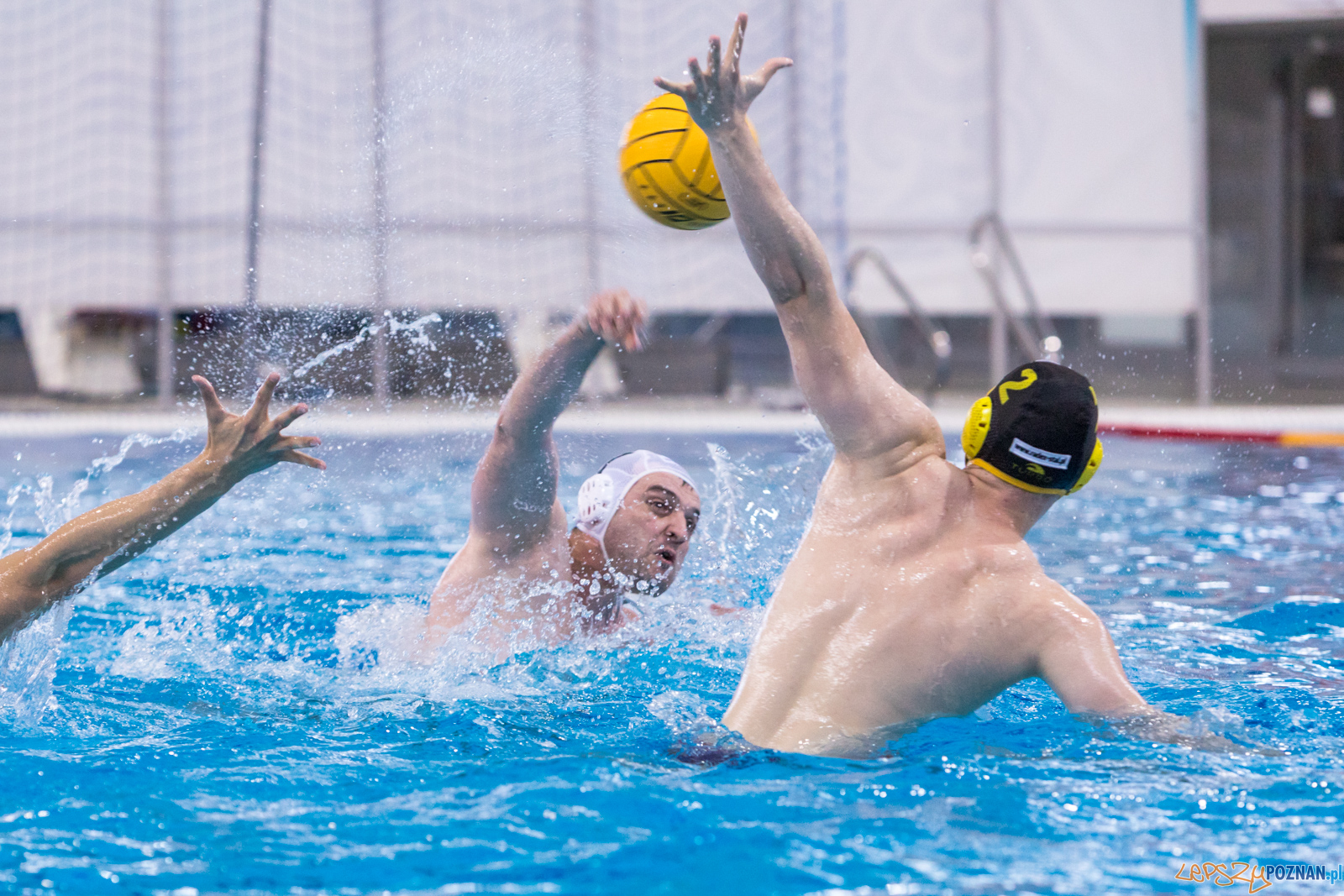 KS Waterpolo Poznań – ŁUKOSZ WTS Polonia Bytom Foto: lepszyPOZNAN.pl/Piotr Rychter KS Waterpolo Poznań – ŁUKOSZ WTS Polonia Bytom Foto: lepszyPOZNAN.pl/Piotr Rychter