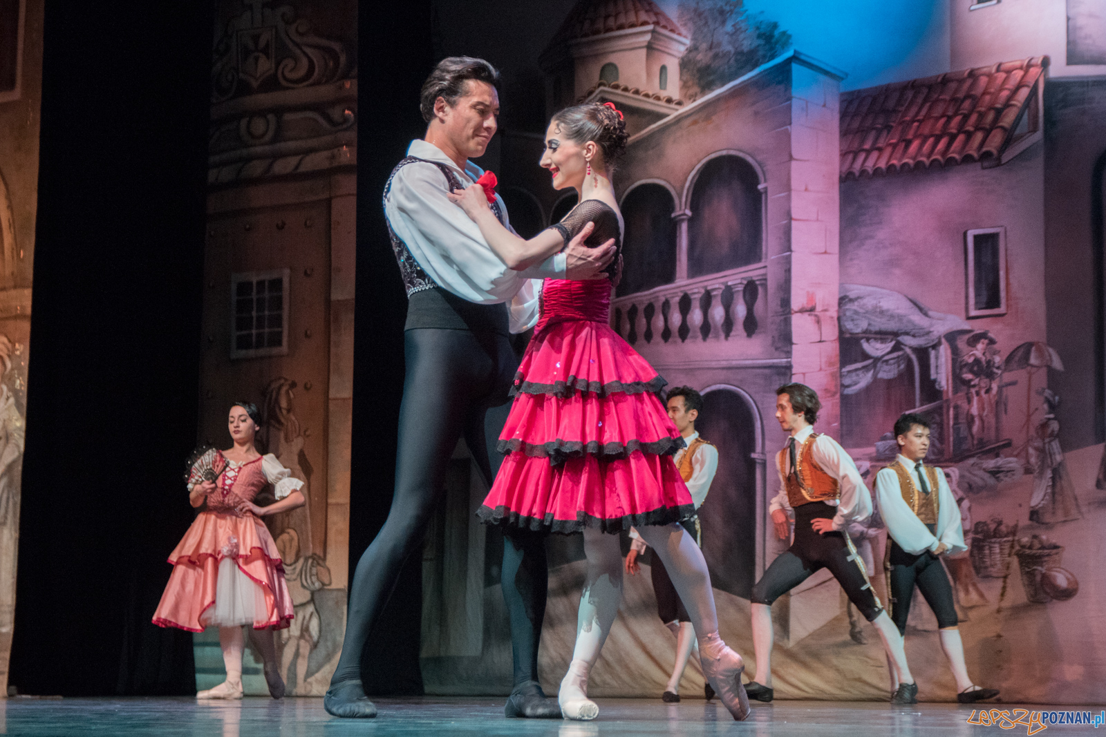 Don Kichot Foto: lepszyPOZNAN.pl / Ewelina Jaśkowiak Don Kichot Foto: lepszyPOZNAN.pl / Ewelina Jaśkowiak