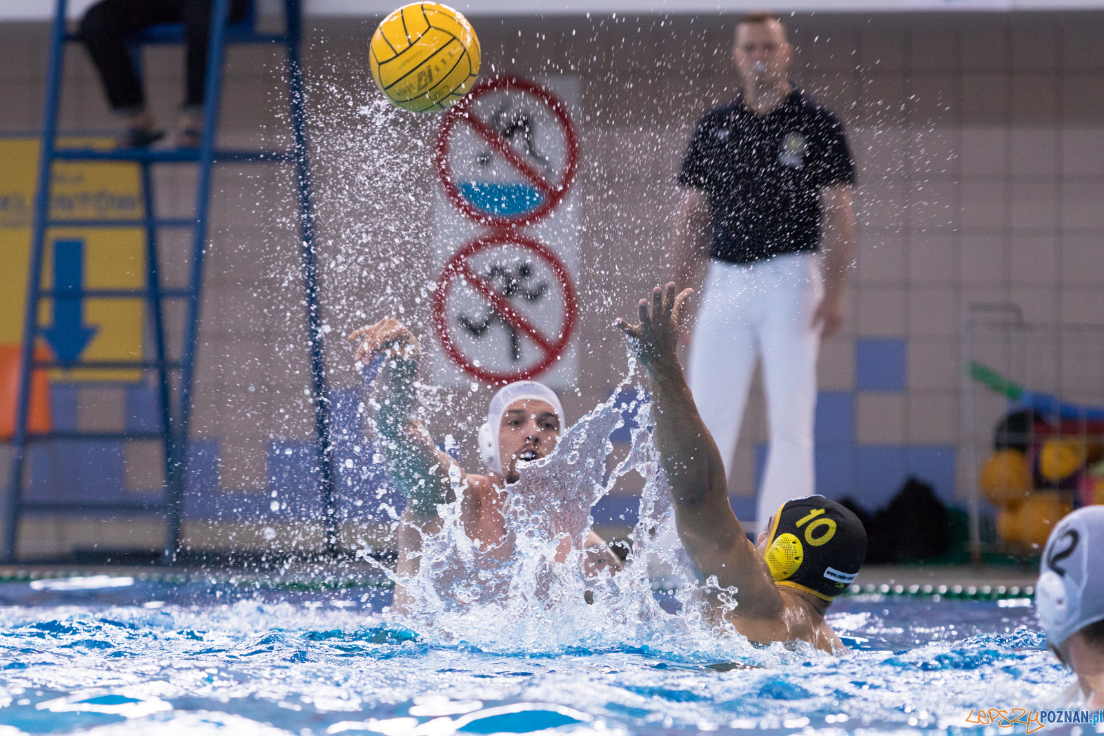 KS Waterpolo Poznań – ŁUKOSZ WTS Polonia Bytom Foto: lepszyPOZNAN.pl/Piotr Rychter KS Waterpolo Poznań – ŁUKOSZ WTS Polonia Bytom Foto: lepszyPOZNAN.pl/Piotr Rychter