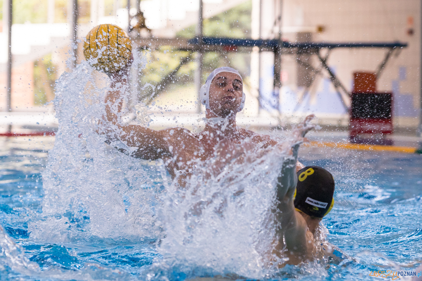 KS Waterpolo Poznań – ŁUKOSZ WTS Polonia Bytom Foto: lepszyPOZNAN.pl/Piotr Rychter KS Waterpolo Poznań – ŁUKOSZ WTS Polonia Bytom Foto: lepszyPOZNAN.pl/Piotr Rychter