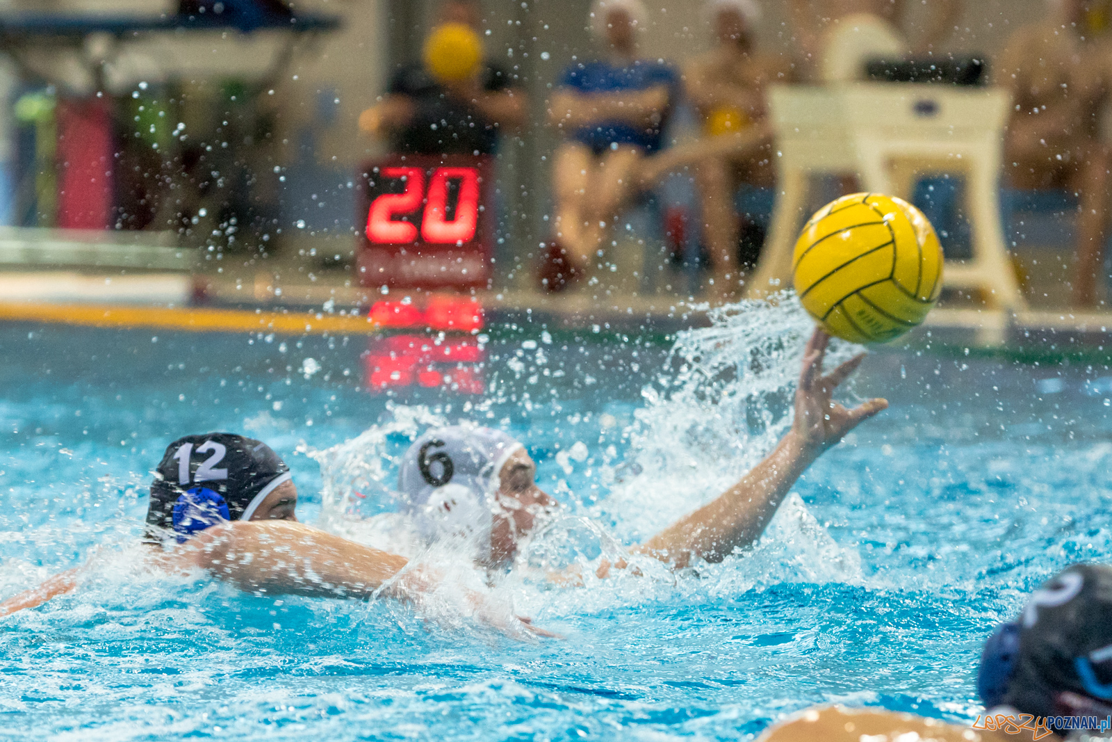 KS Waterpolo Poznań – OCMER ŁSTW Łódź Foto: lepszyPOZNAN.pl/Piotr Rychter KS Waterpolo Poznań – OCMER ŁSTW Łódź Foto: lepszyPOZNAN.pl/Piotr Rychter
