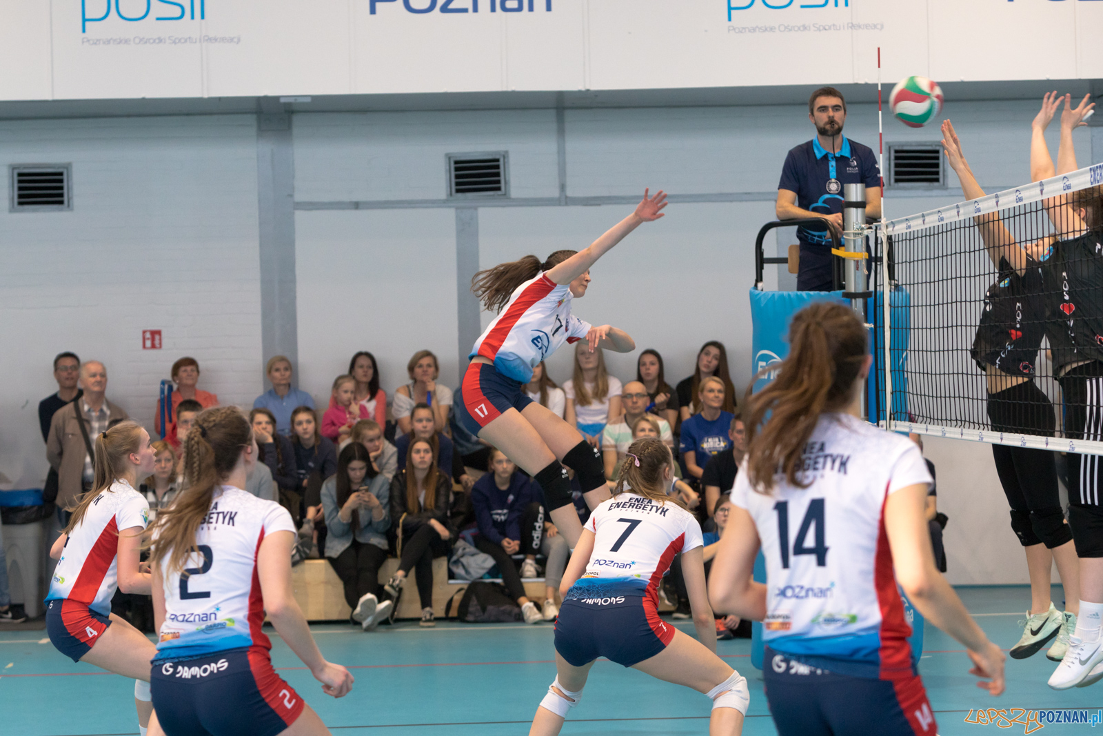 Półfinał Mistrzostw Polski w Piłce Siatkowej Kadetek Foto: lepszyPOZNAN.pl/Piotr Rychter Półfinał Mistrzostw Polski w Piłce Siatkowej Kadetek Foto: lepszyPOZNAN.pl/Piotr Rychter