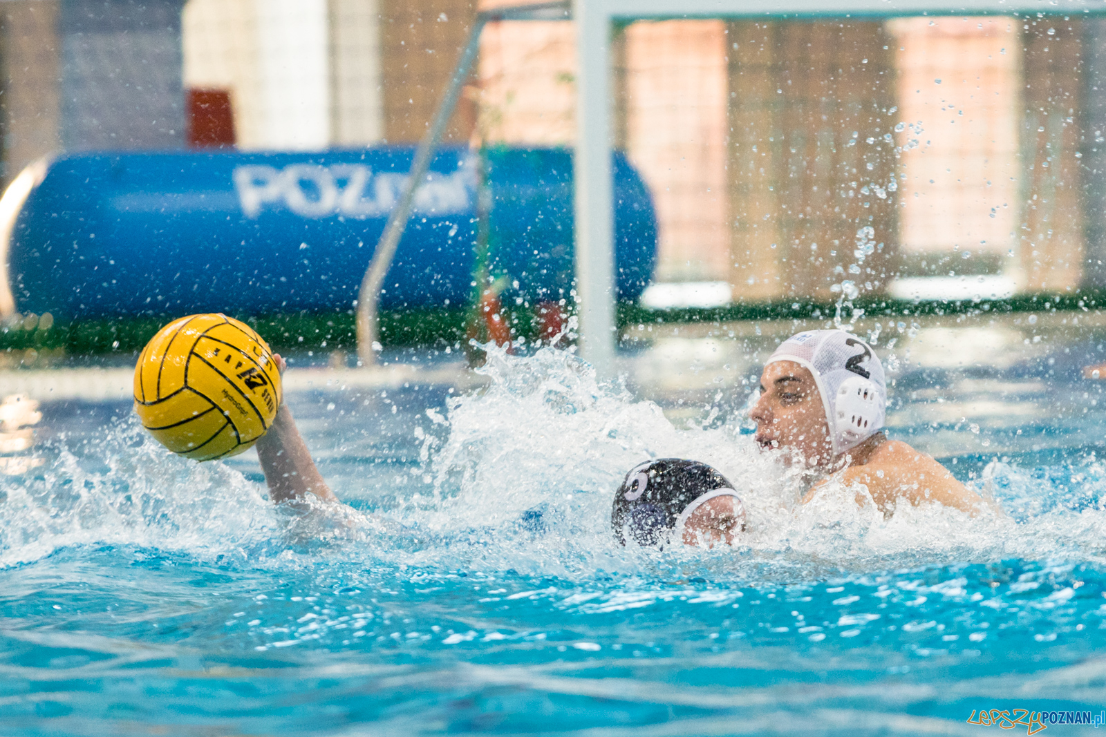 KS Waterpolo Poznań – OCMER ŁSTW Łódź Foto: lepszyPOZNAN.pl/Piotr Rychter KS Waterpolo Poznań – OCMER ŁSTW Łódź Foto: lepszyPOZNAN.pl/Piotr Rychter