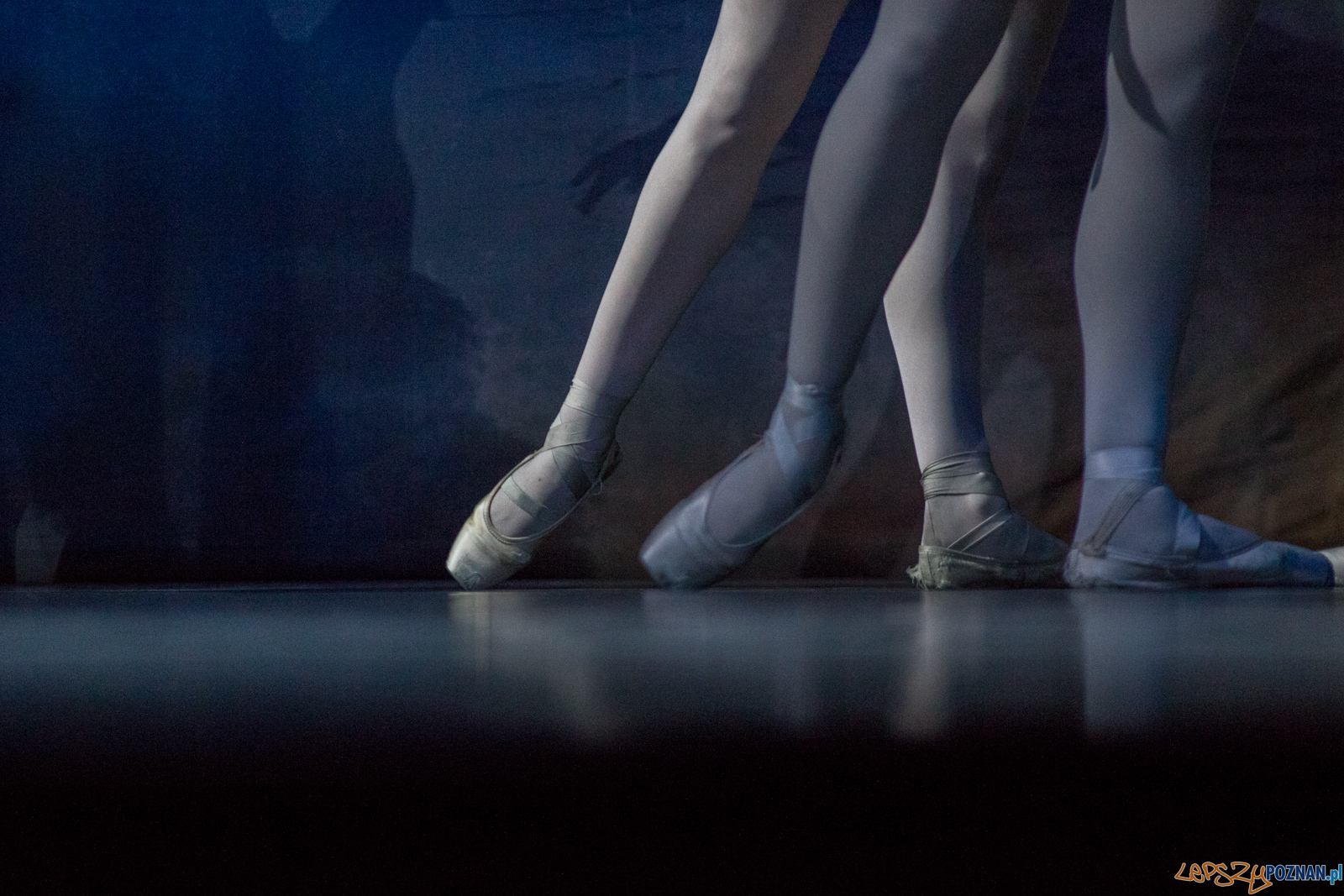 Don Kichot Foto: lepszyPOZNAN.pl / Ewelina Jaśkowiak Don Kichot Foto: lepszyPOZNAN.pl / Ewelina Jaśkowiak